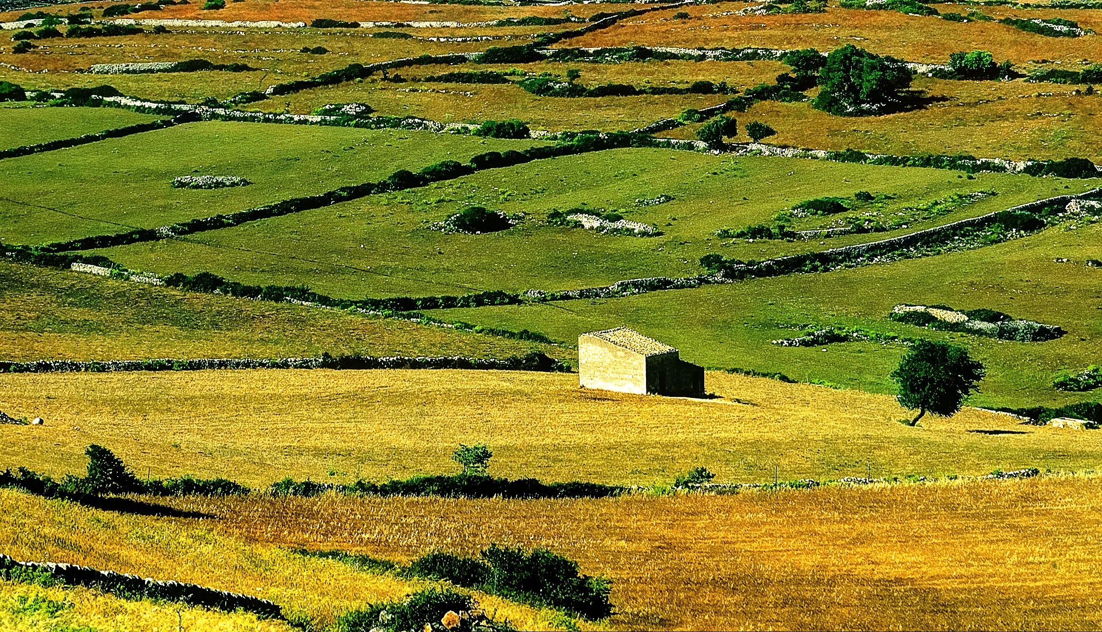 I colori della mia campagna