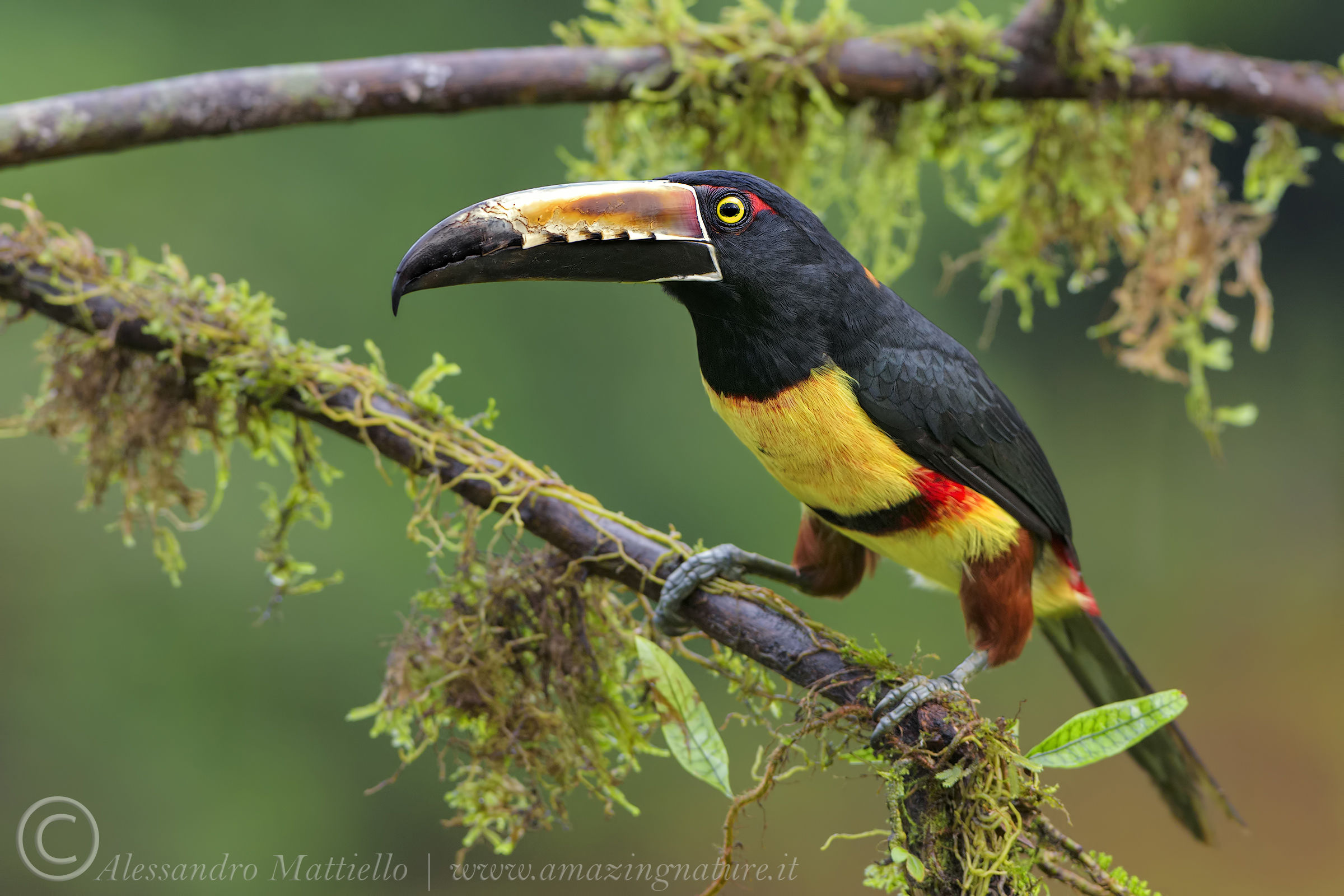Colors of Costa Rica