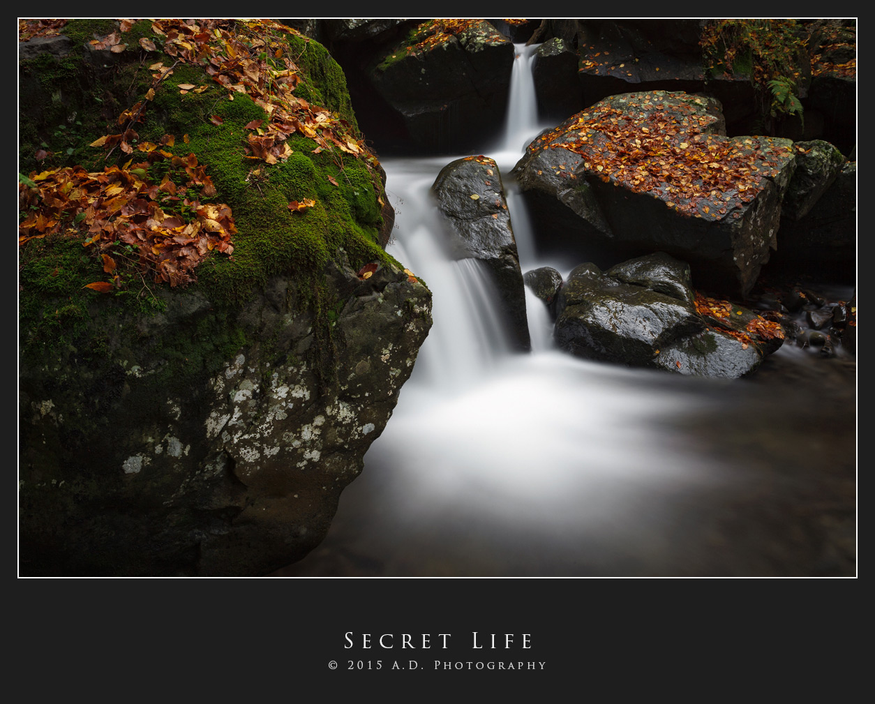 Secret Life