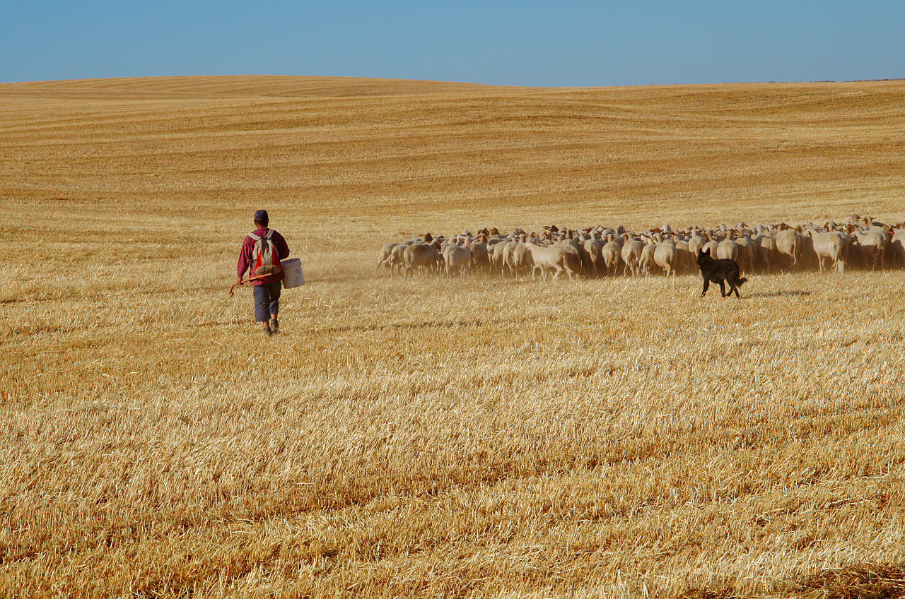 In the high Murgia Barese
