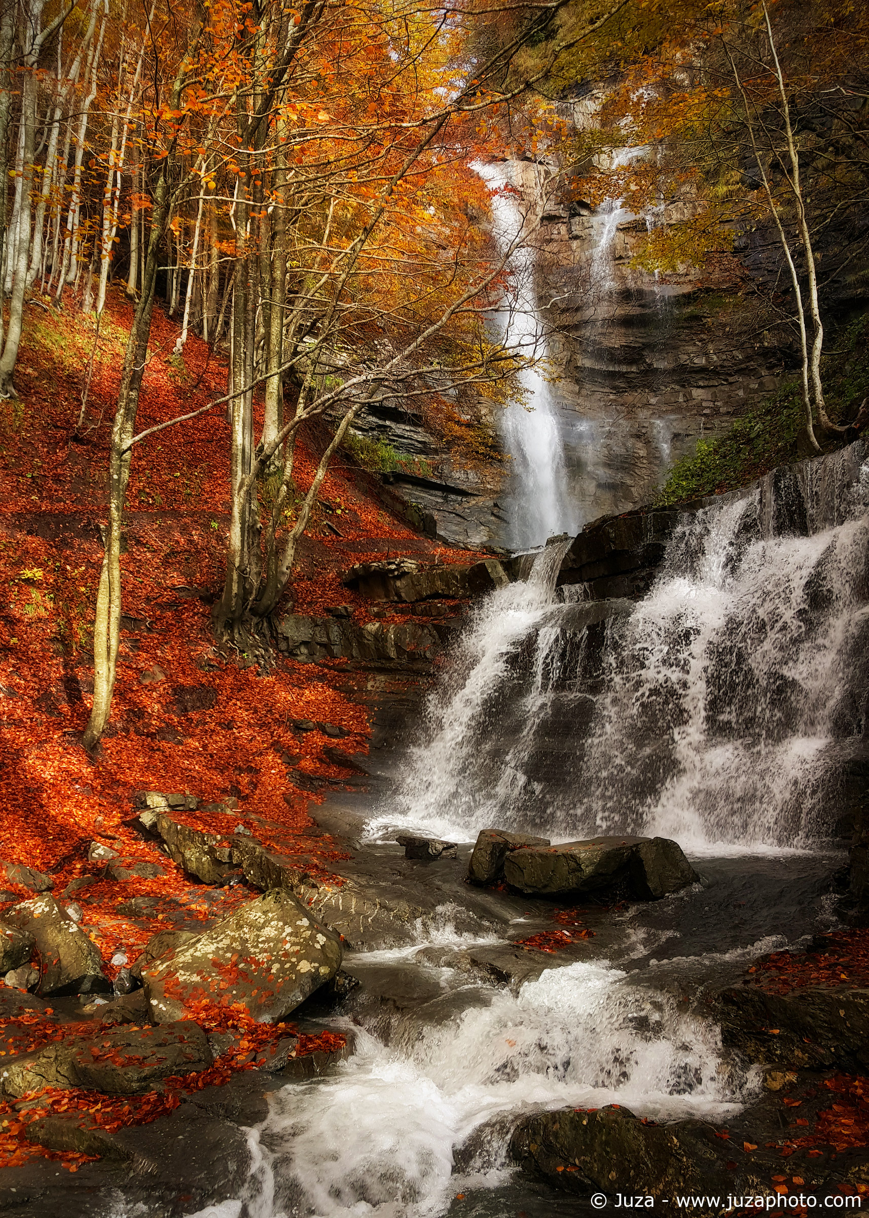 Niagara Lavacchiello (S6)