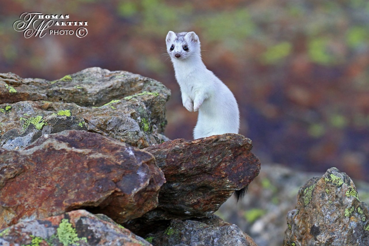 Ready for the impending snowfall
