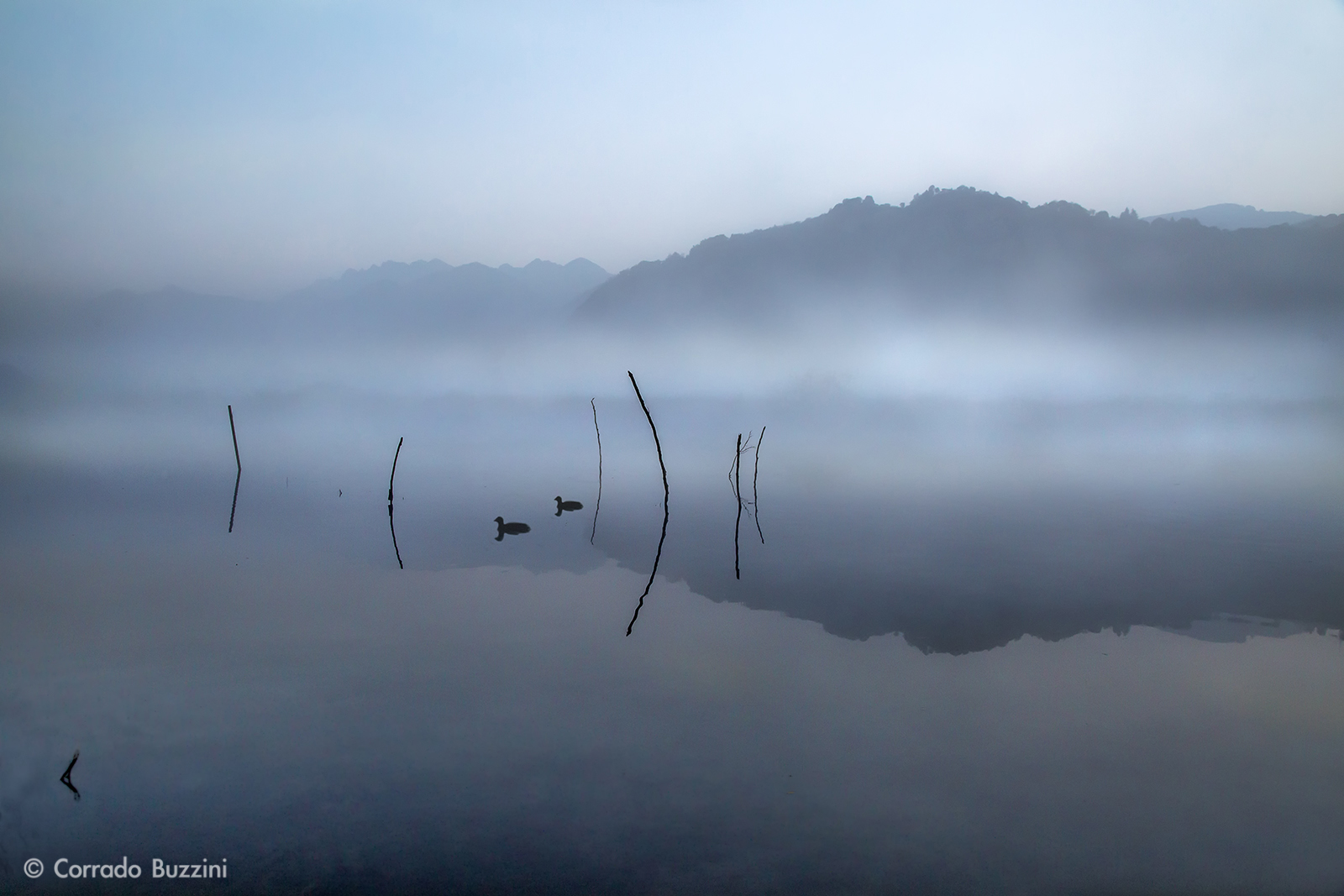 Paesaggio con nebbia
