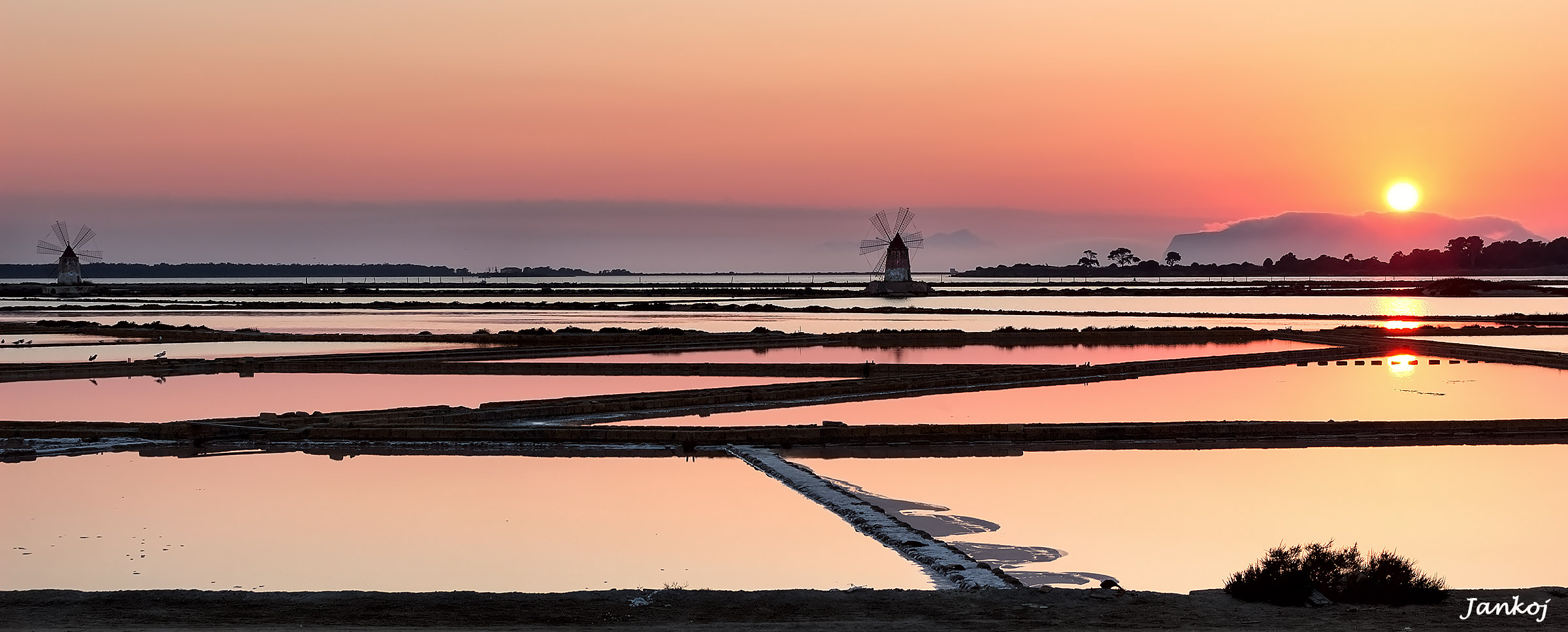 The salt of the earth