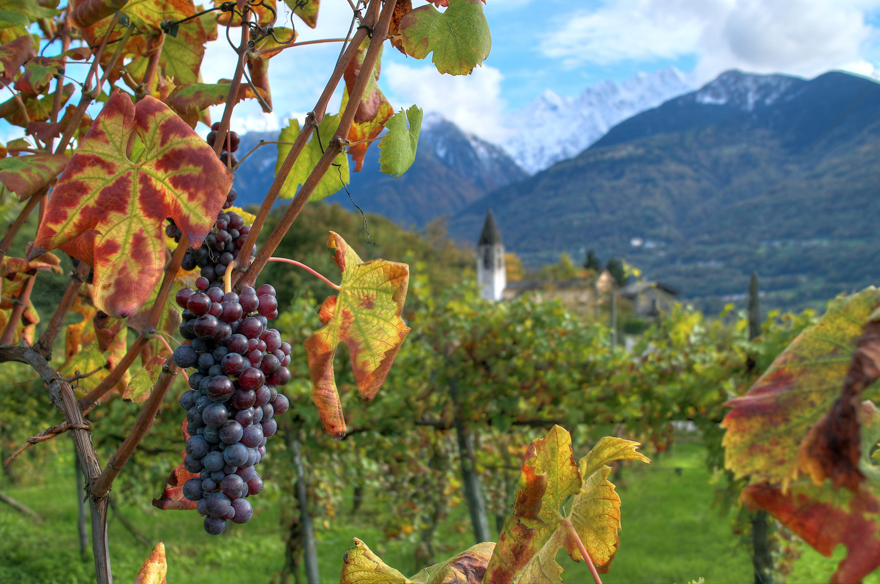autunno in Valtellina