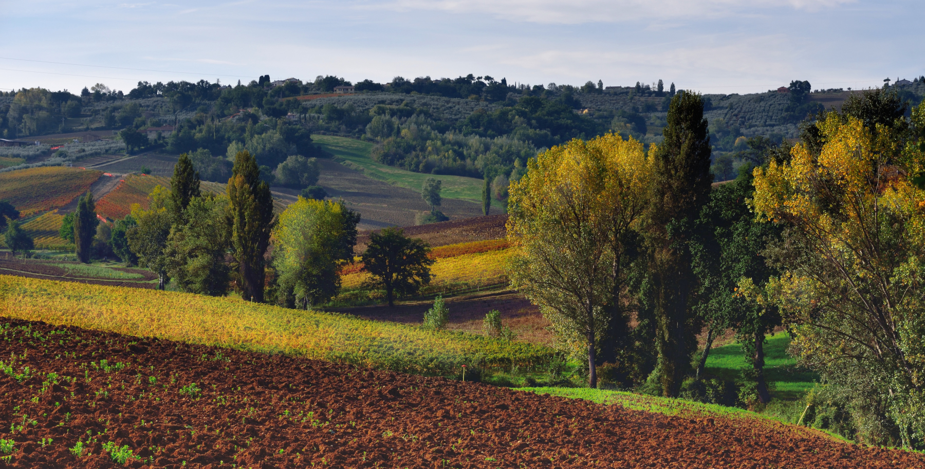 Umbrian landscape of Orrobre
