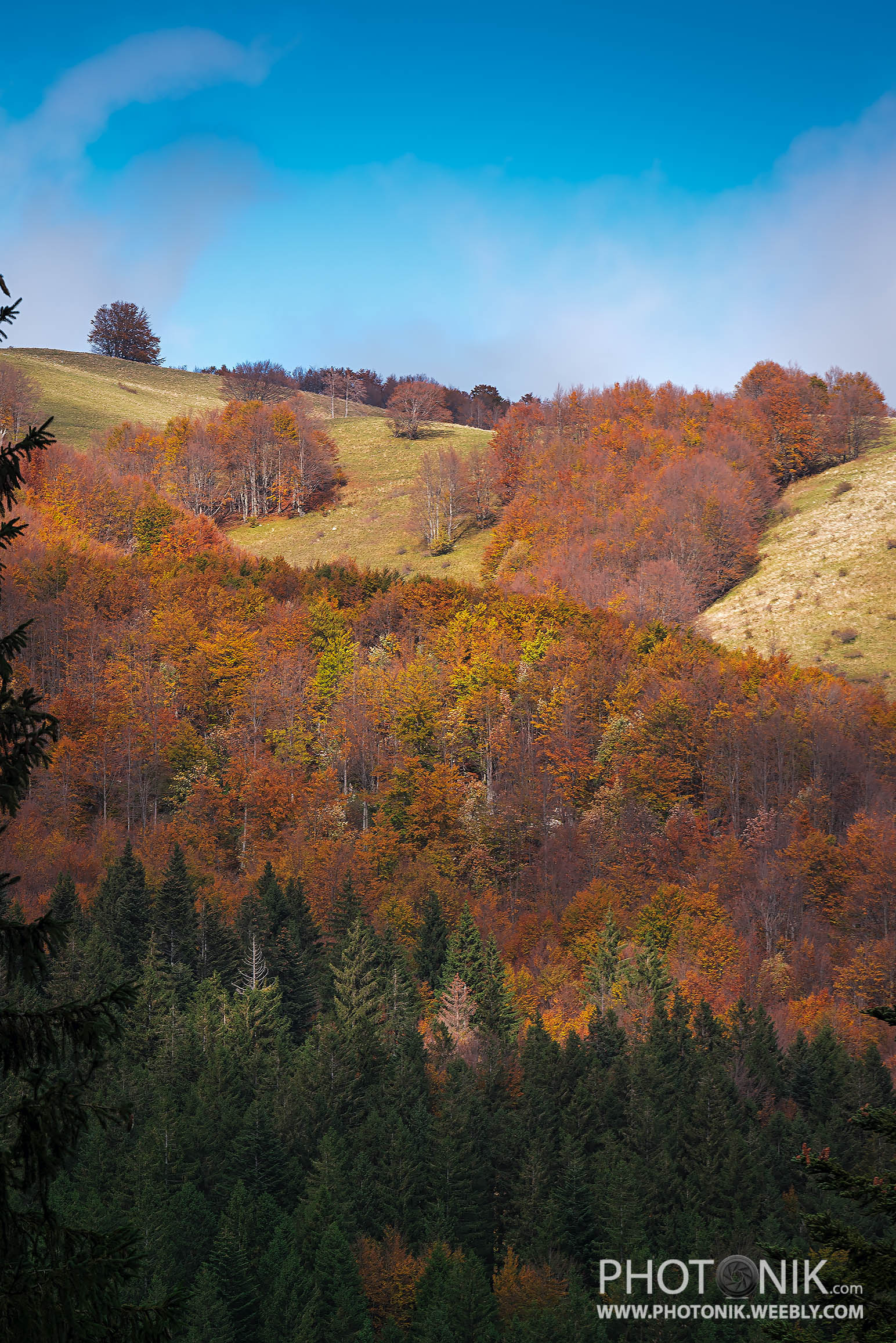 I colori dell'autunno