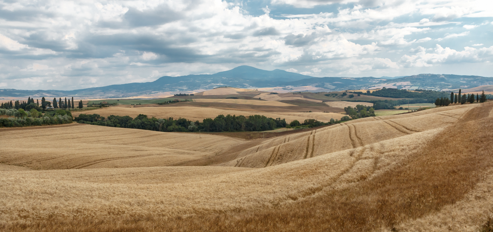 cartolina dalla vald'orcia