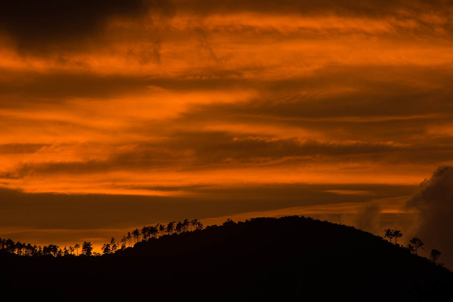 The sunset on the hill