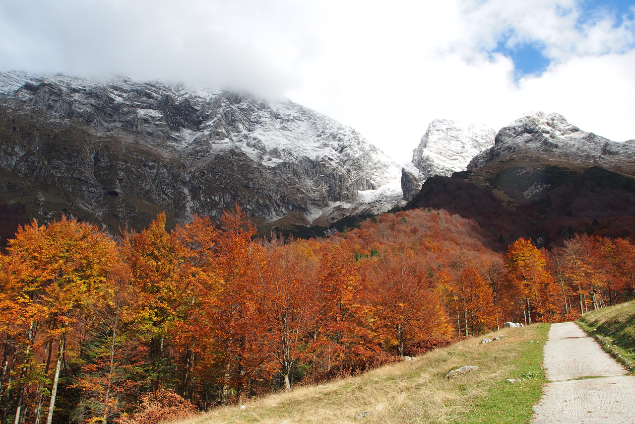 Prima nevicata in Val Resia (Udine)