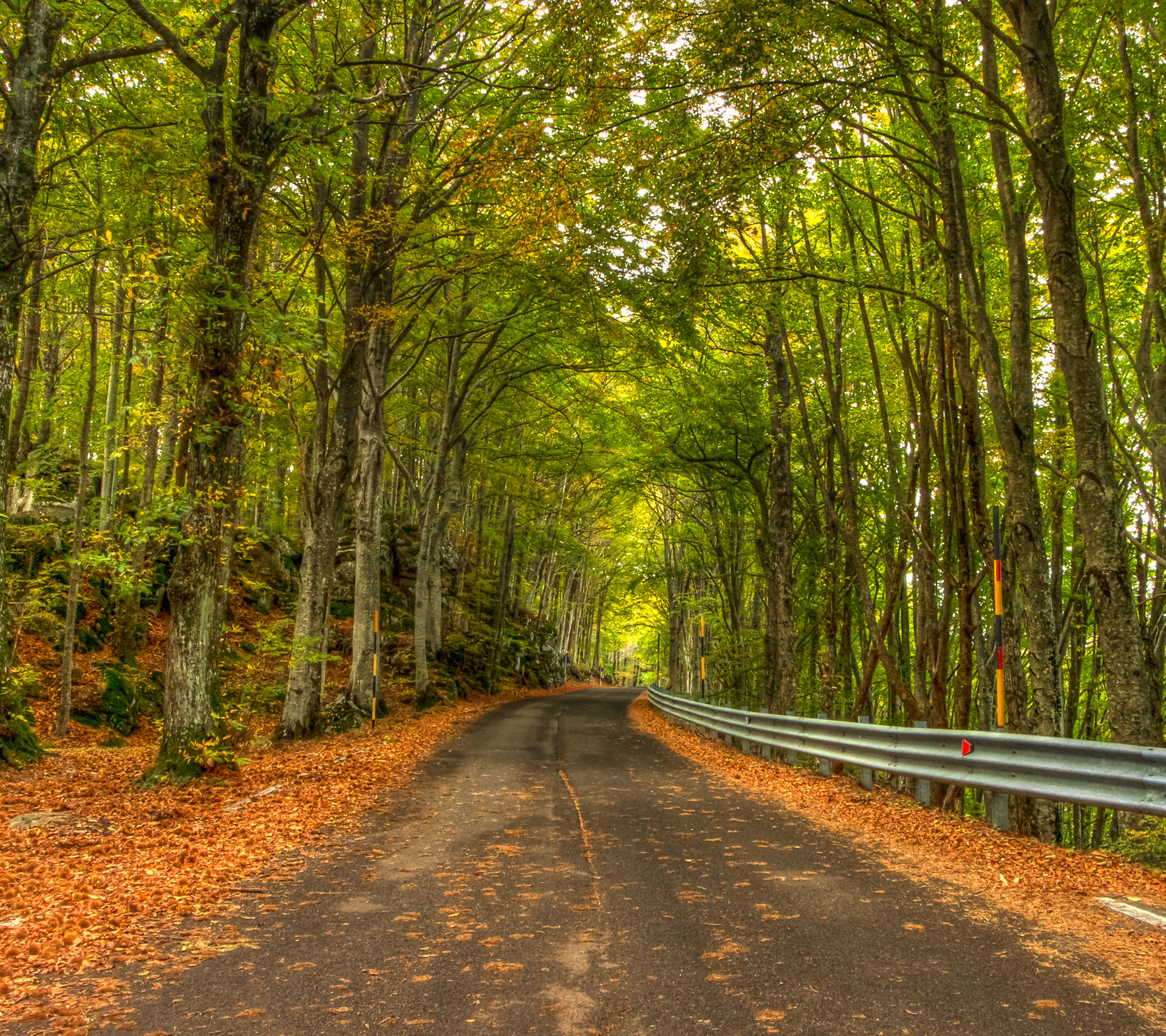 quello che la natura crea ---- galleria artificiale----