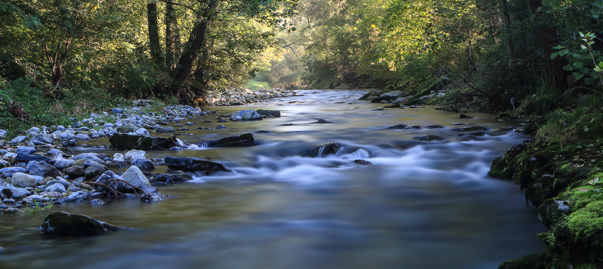 Alba sul fiume Lambro 1