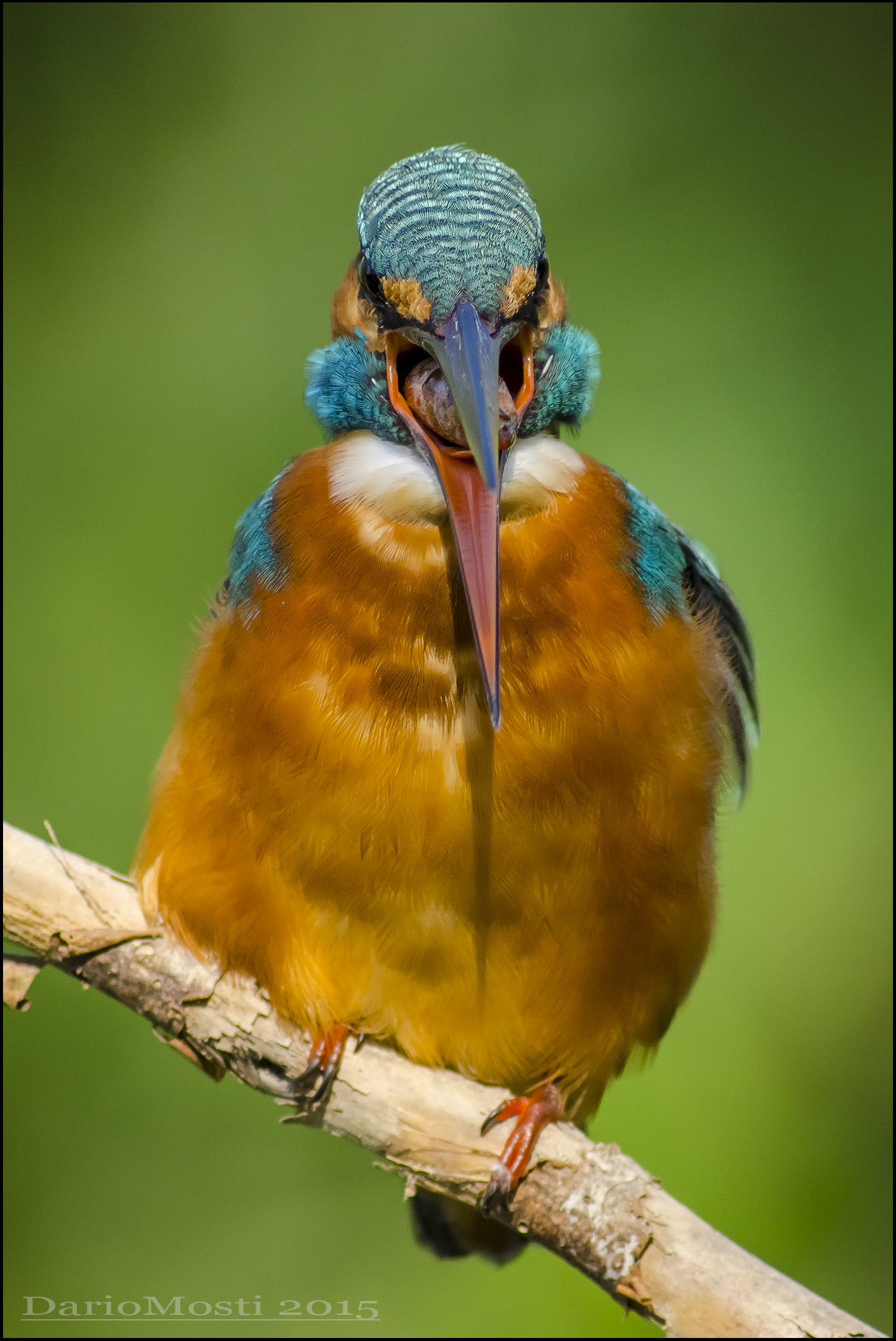 Espulsioneeeeee!!!!!!!