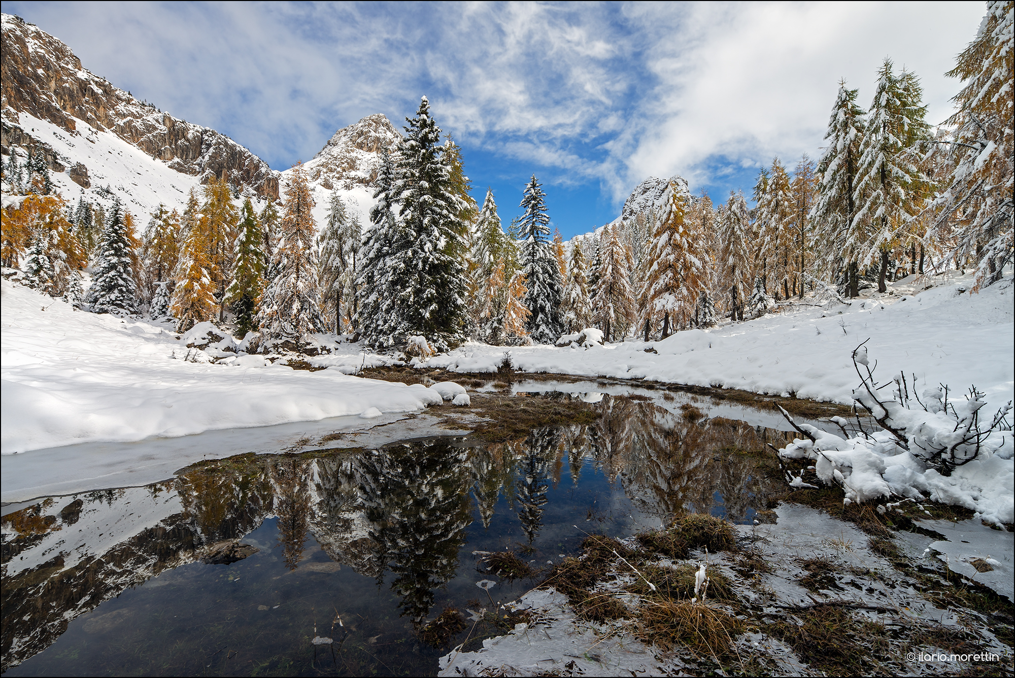 All colors of Bordaglia