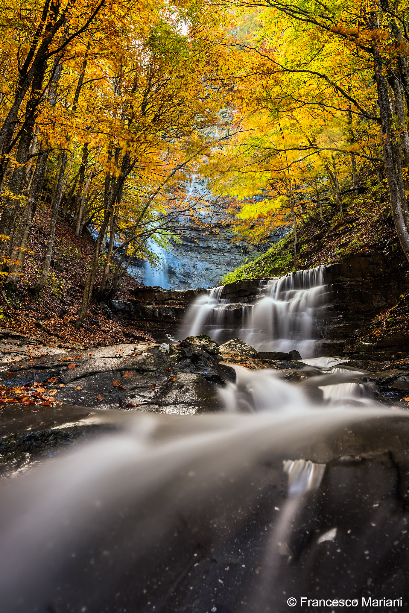 Niagara Lavacchiello