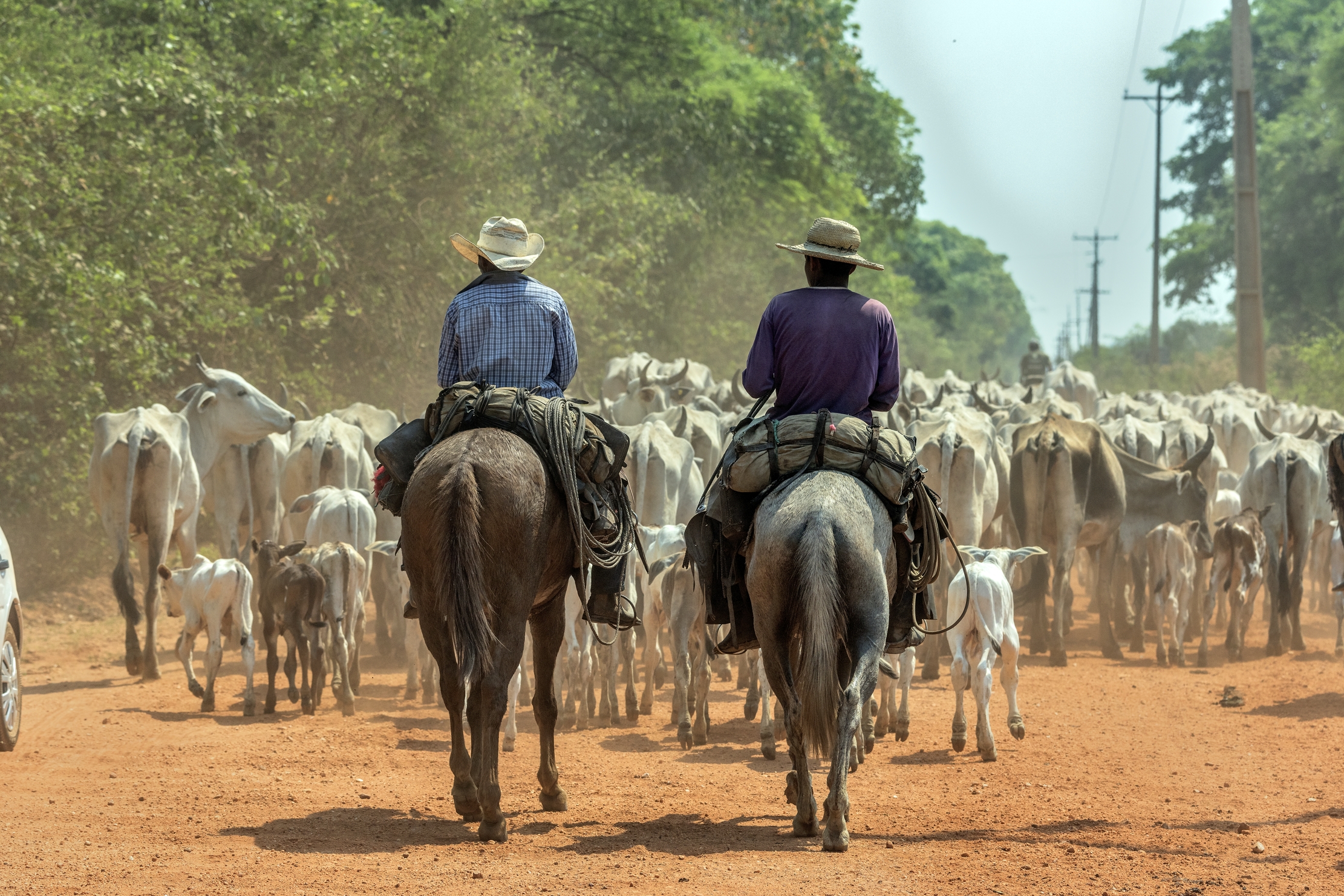Pantanal 2015 - Pantaneros