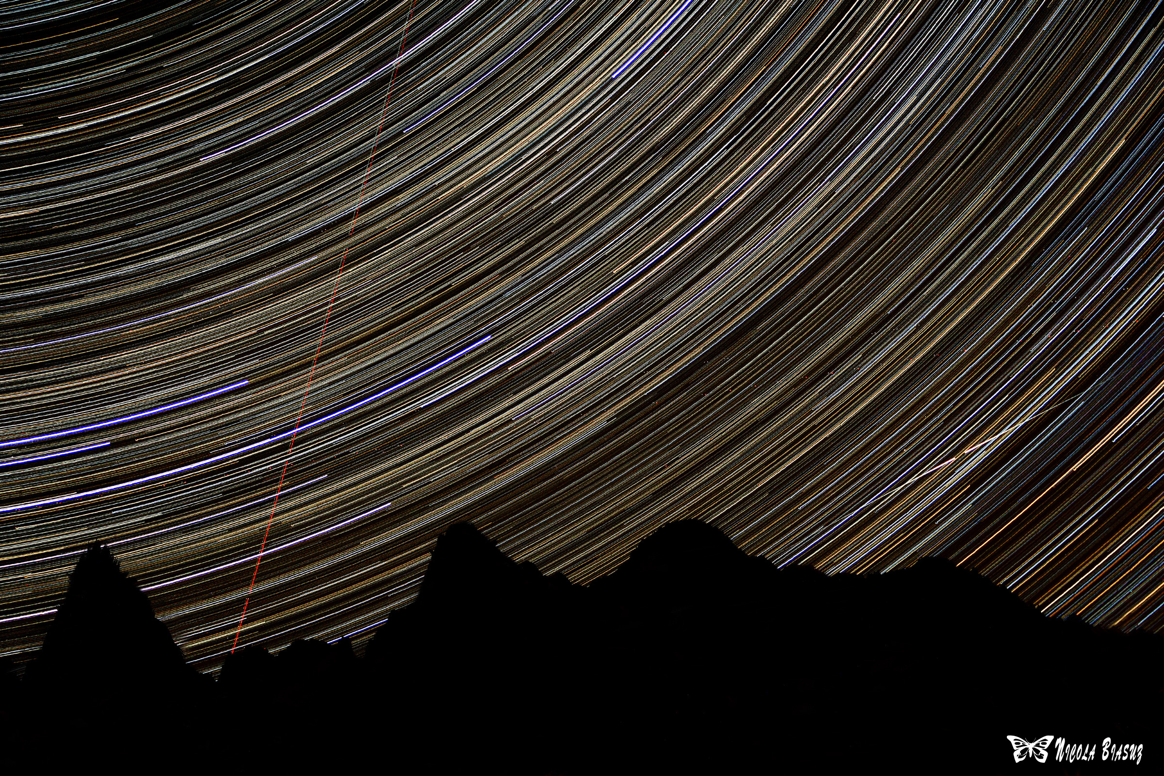 Le stelle portano consiglio