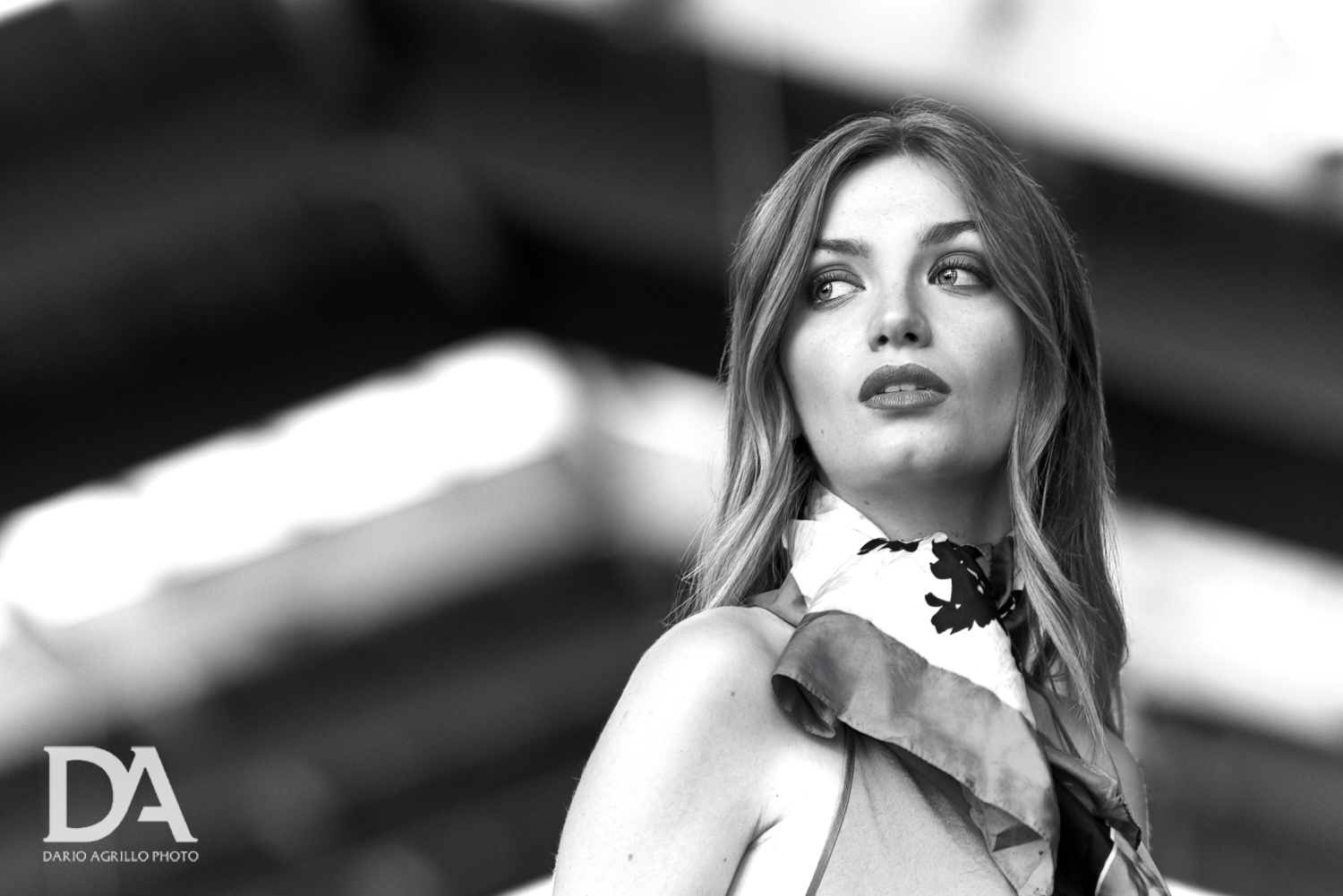 Harbour club fashion