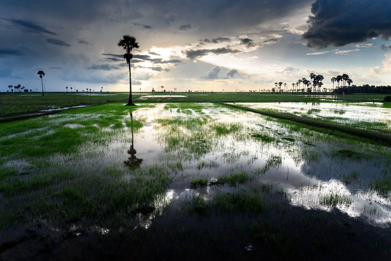 Rainy season, Cambogia