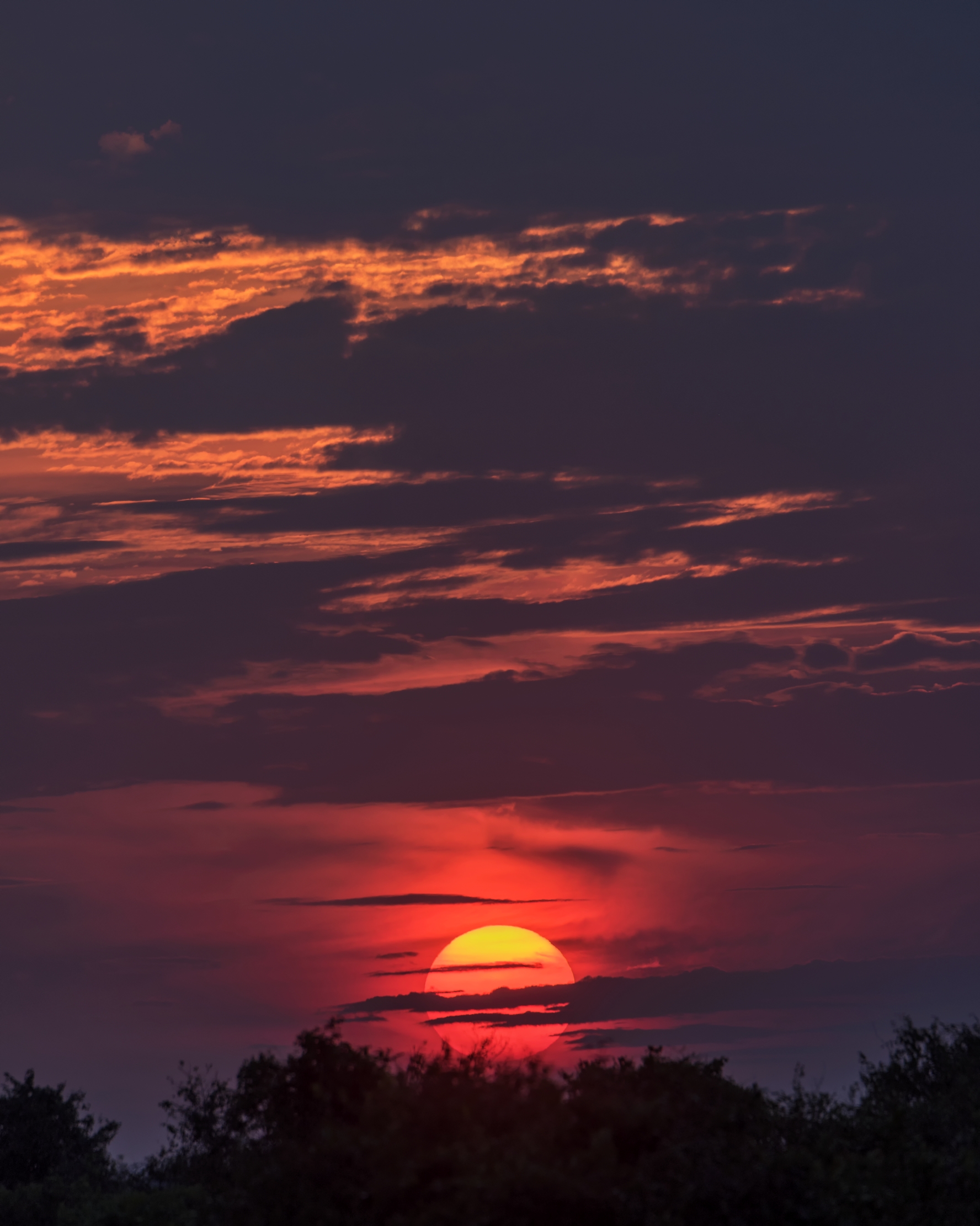 Pantanal 2015 - Tramonto sul Pantanao