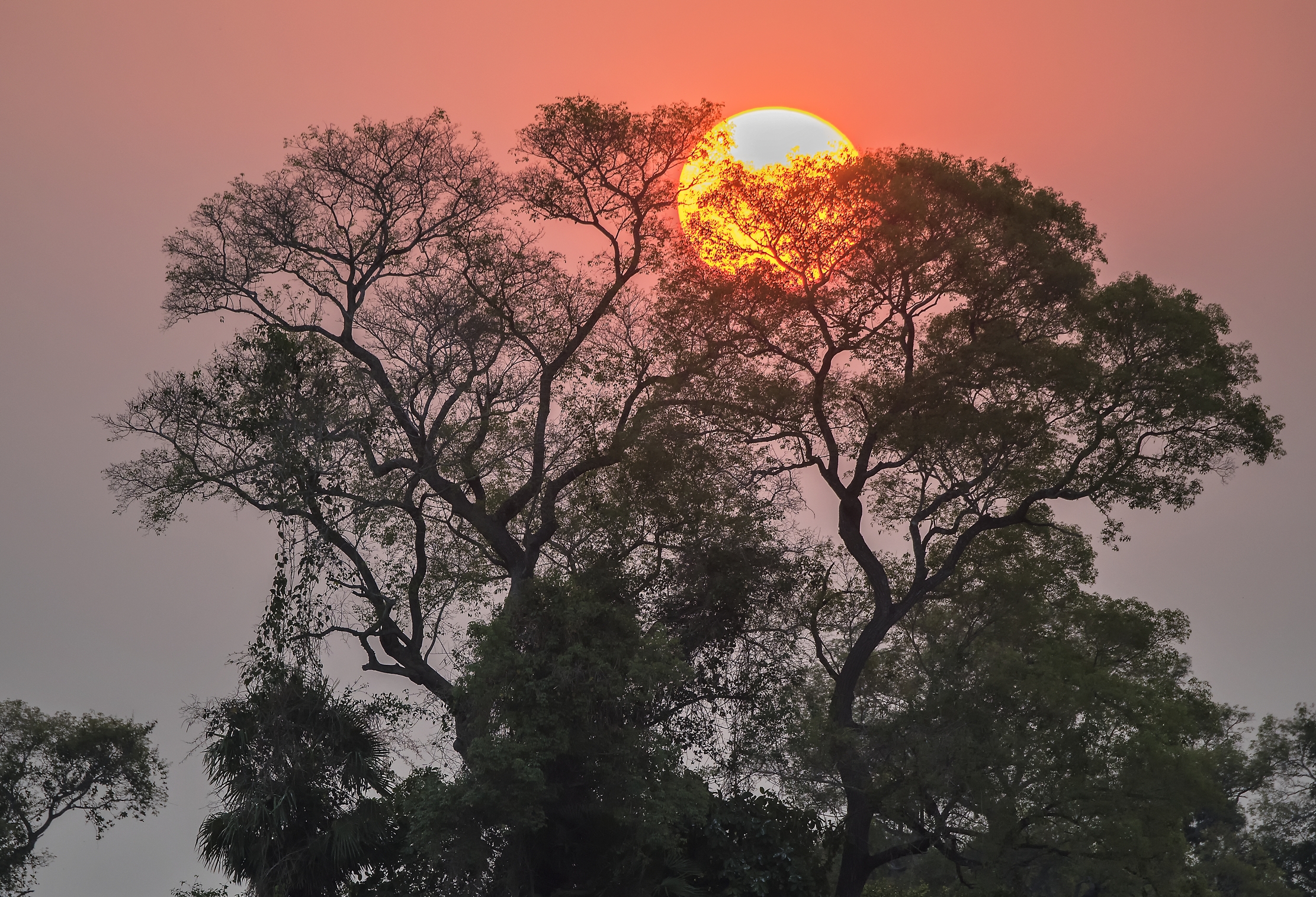 Pantanal 2015 - Tramonto sul Pantanao