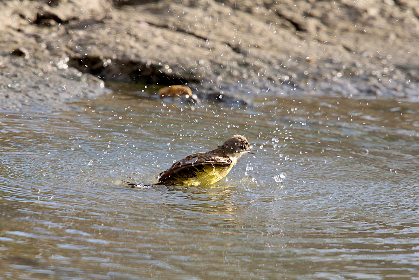 refreshing bath