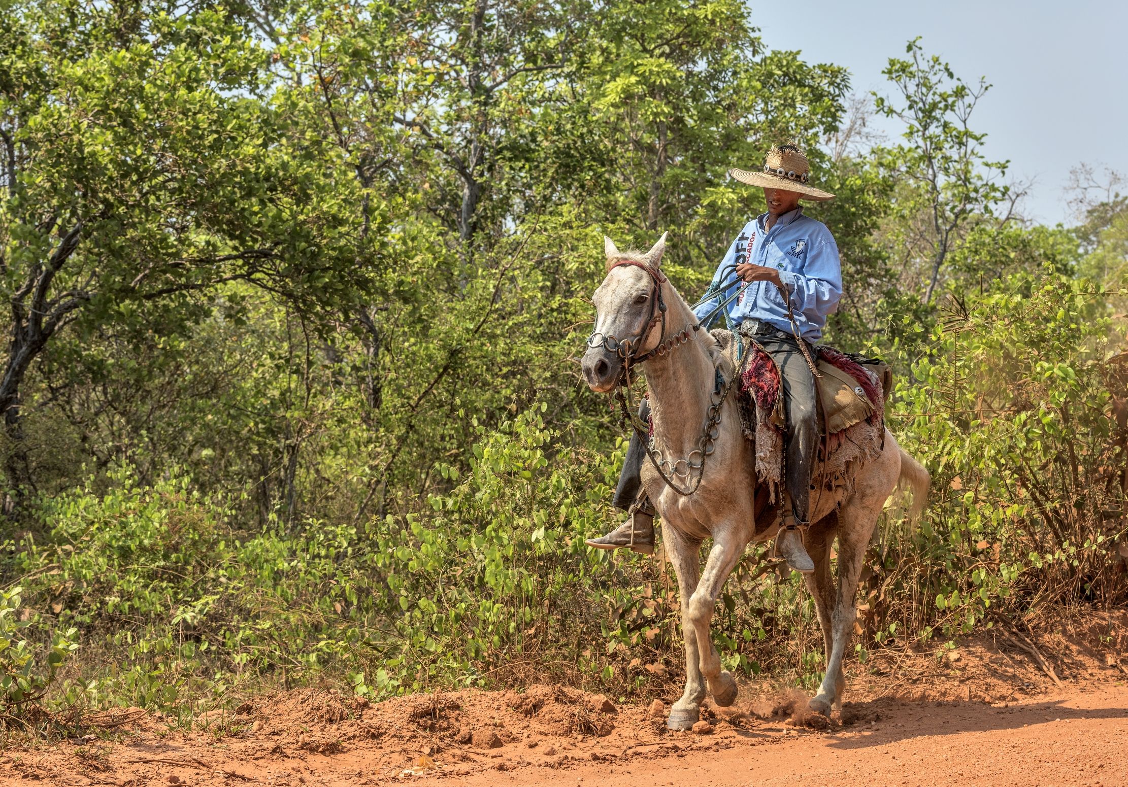 Pantanal 2015 - Pantaneros
