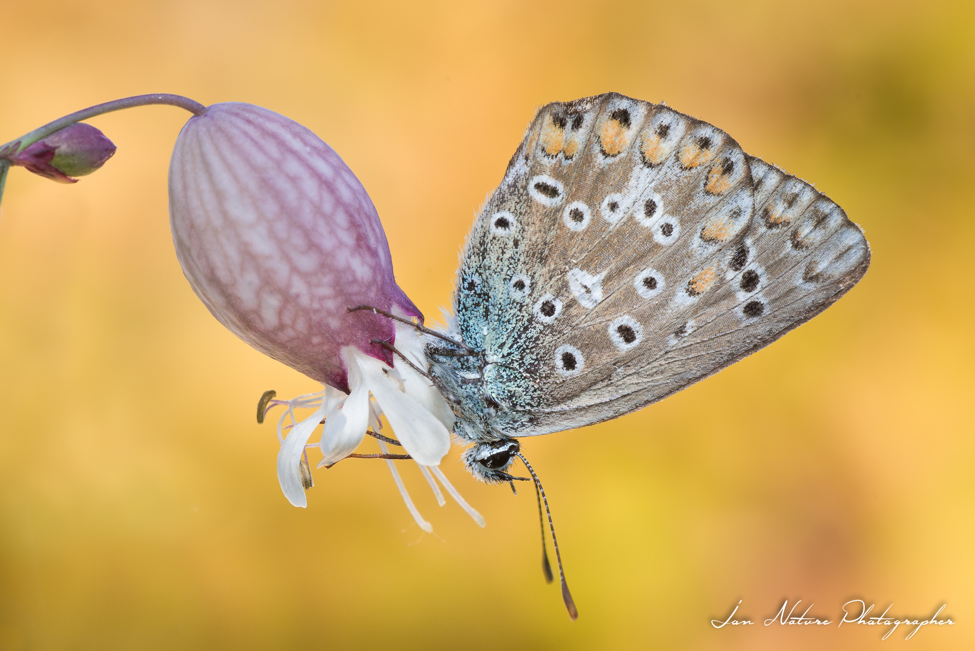 In una tiepida mattina d' autunno