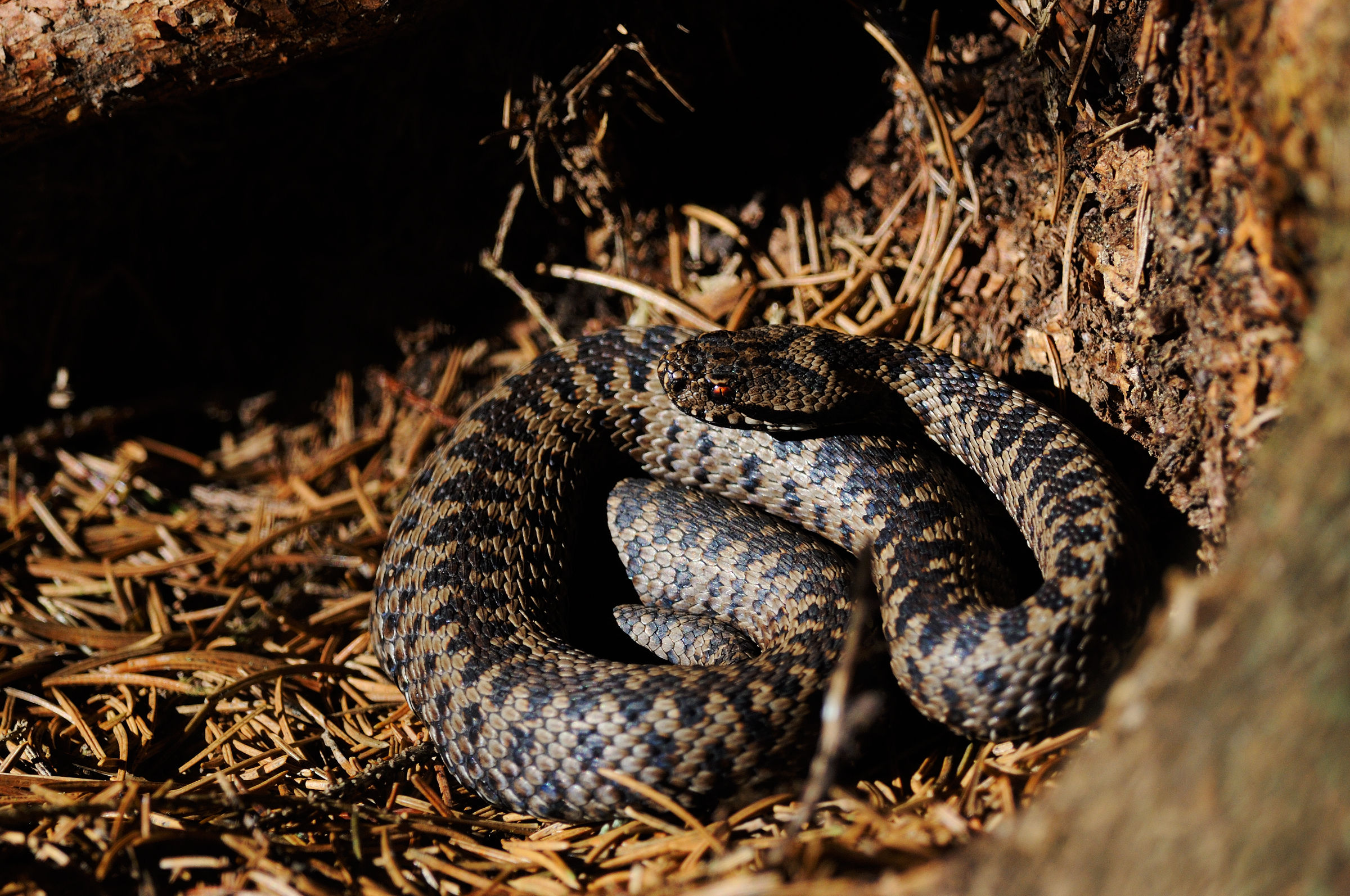 We keep our distance ...