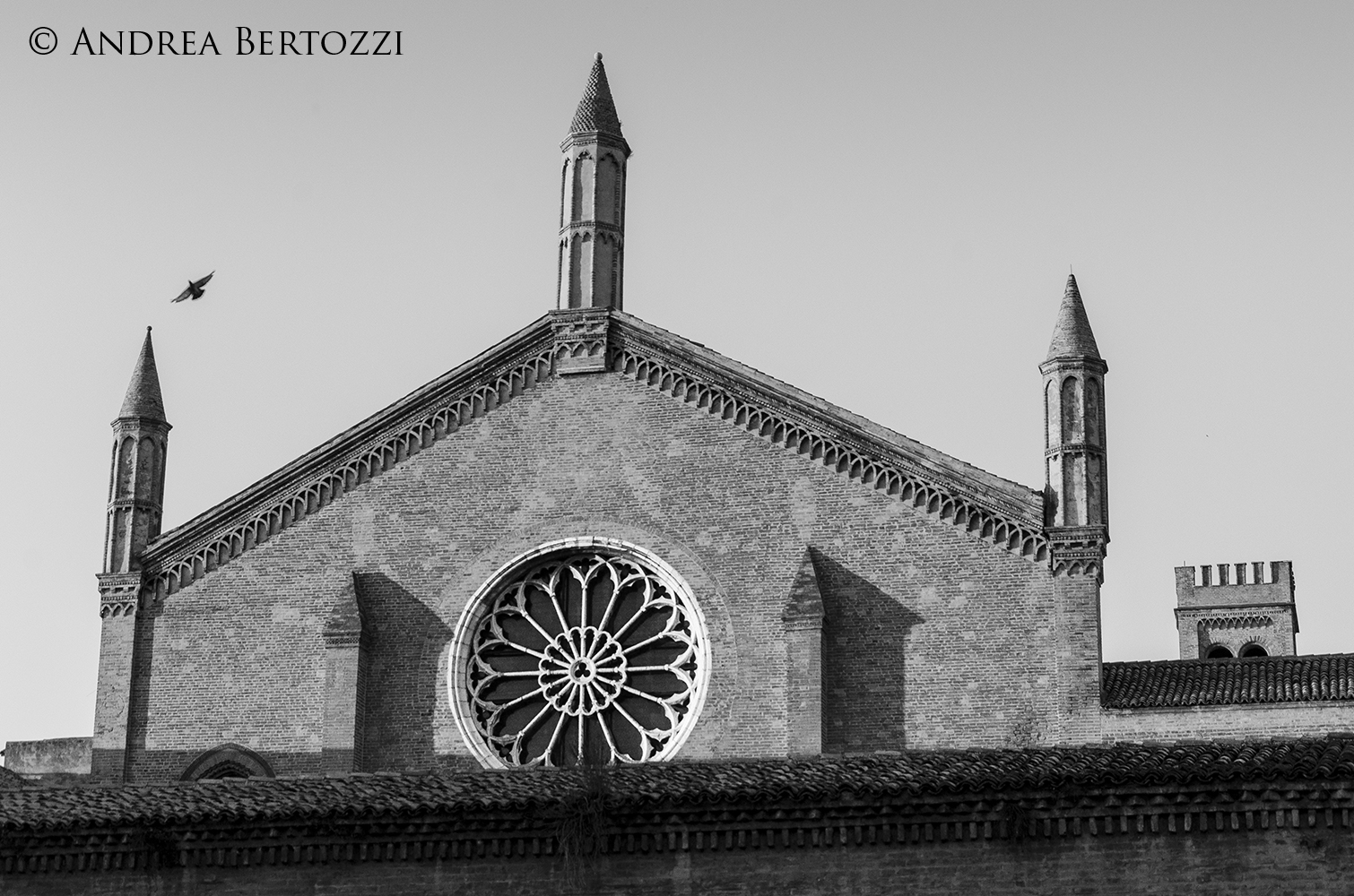 Chiesa di San Francesco