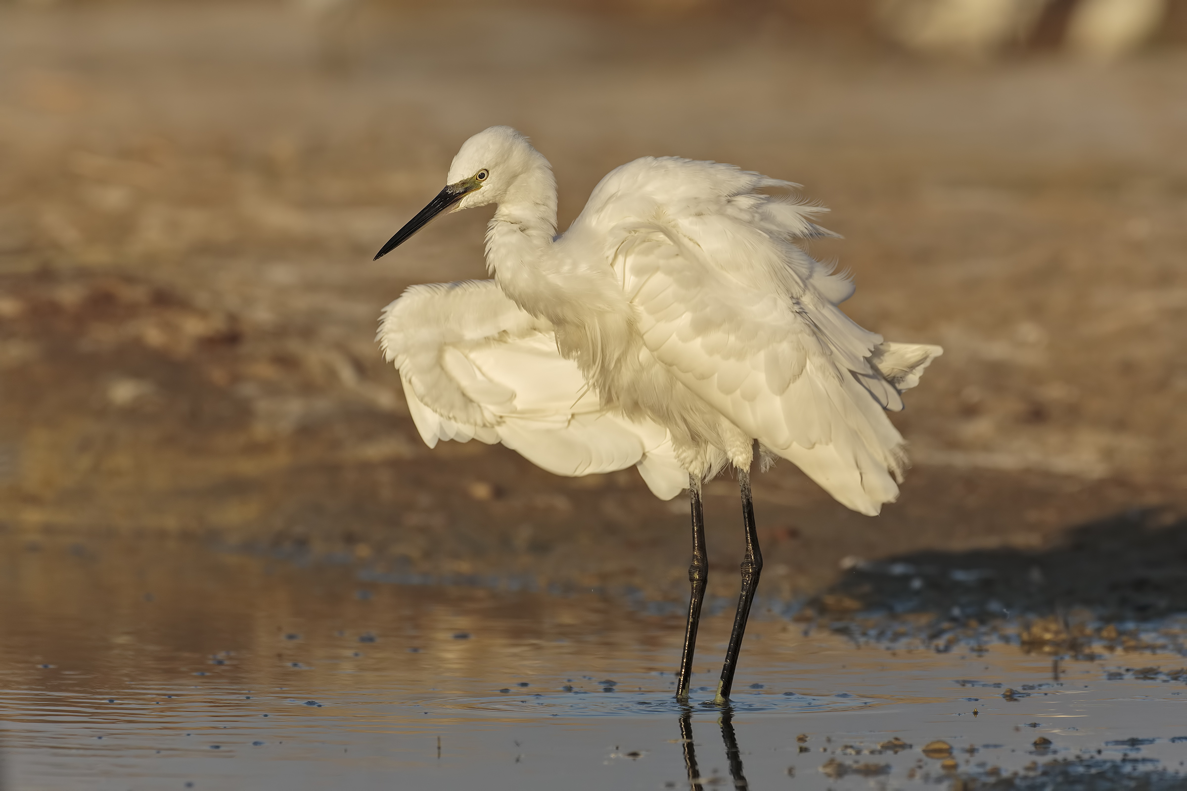 Una scrollatina all'ultimo raggio di sole