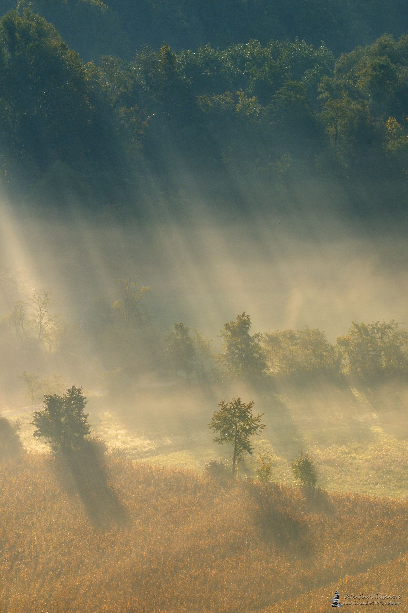 Impressioni di inizio Autunno