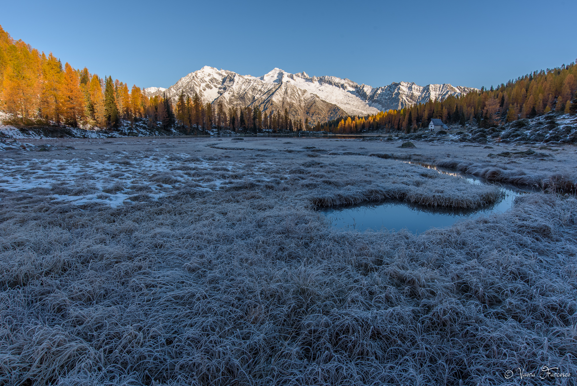 The cold heat of dawn