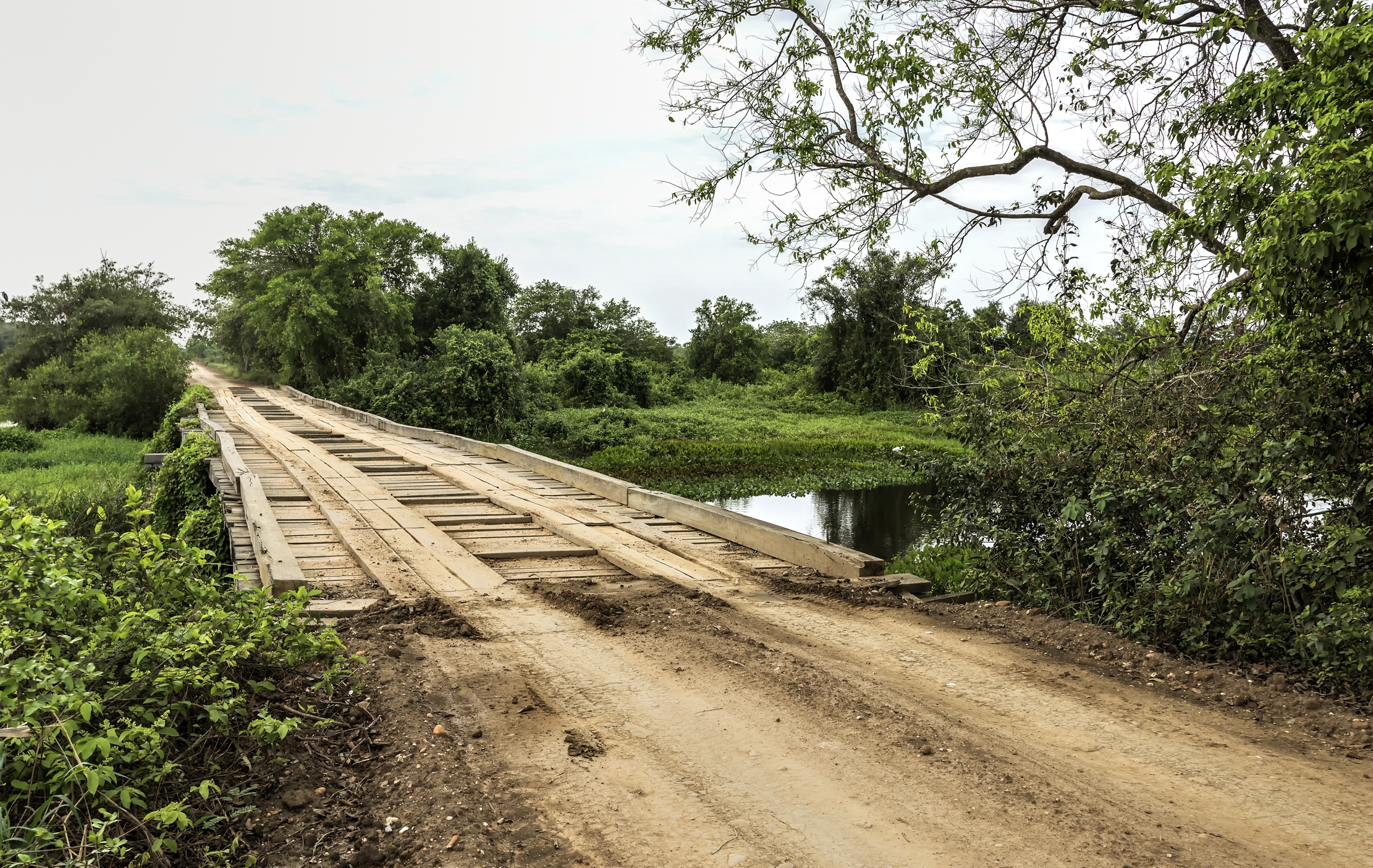 Pantanal 2015 -  Pantanao