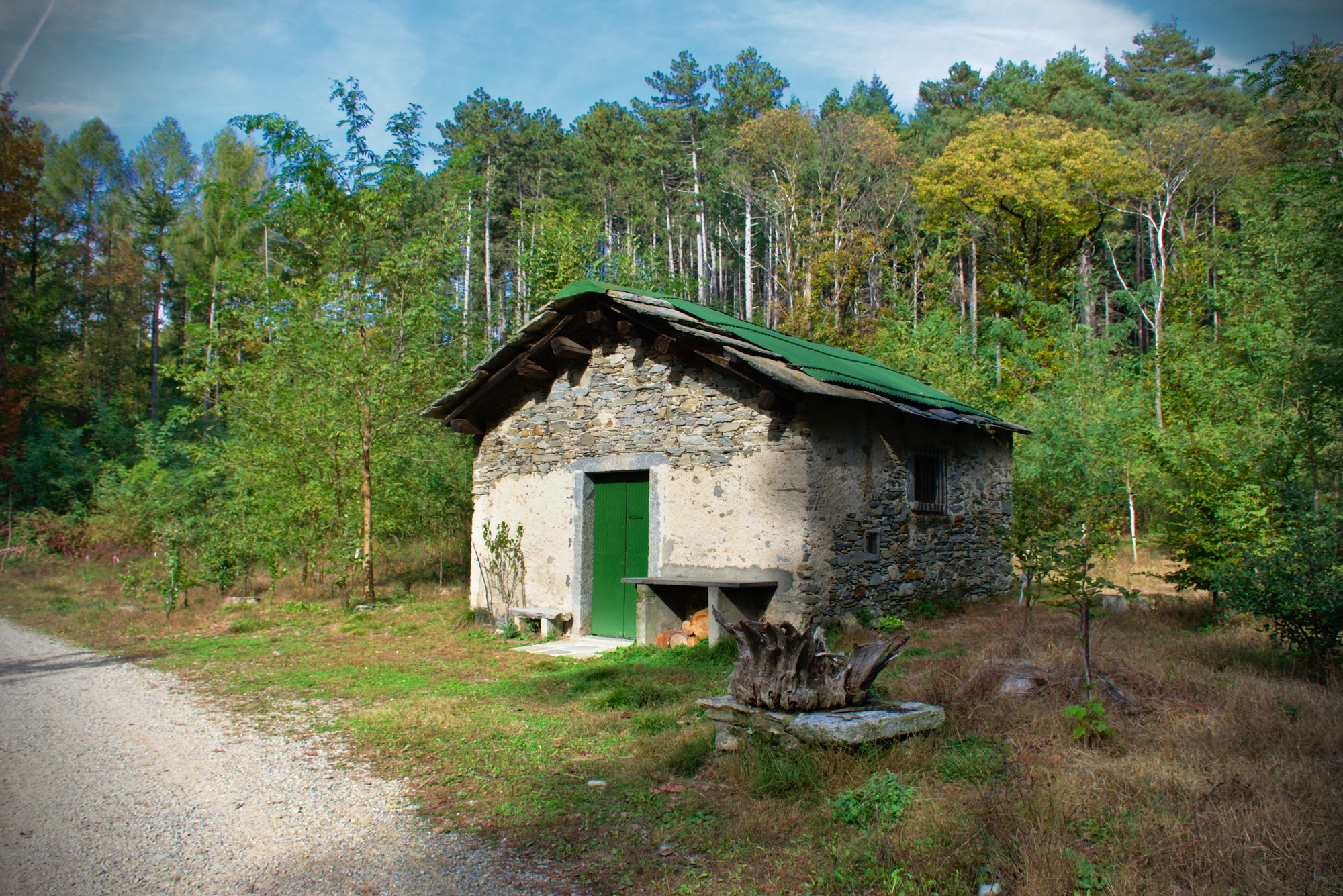 La casa nel bosco