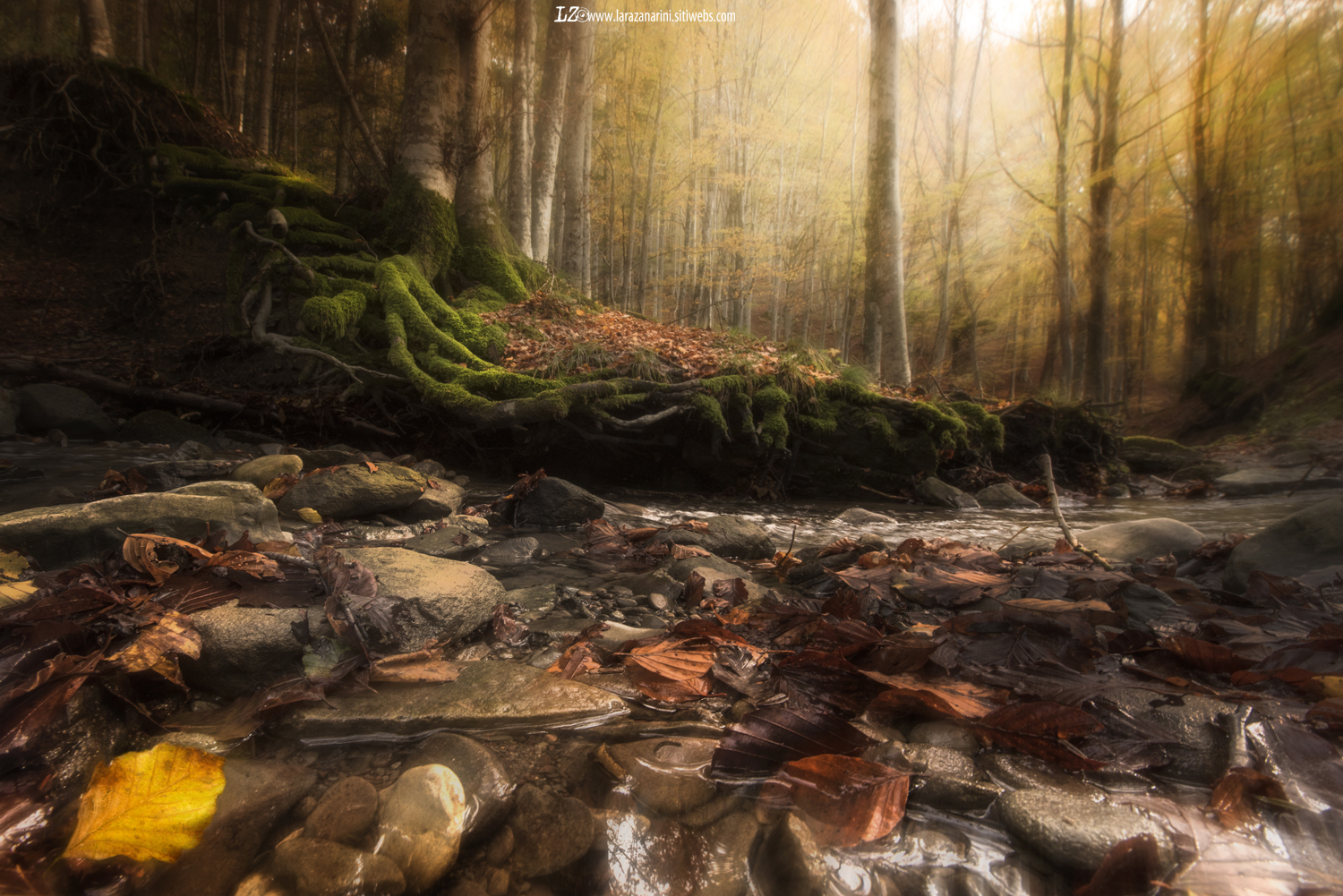 "Autumn is a house of gold ..."