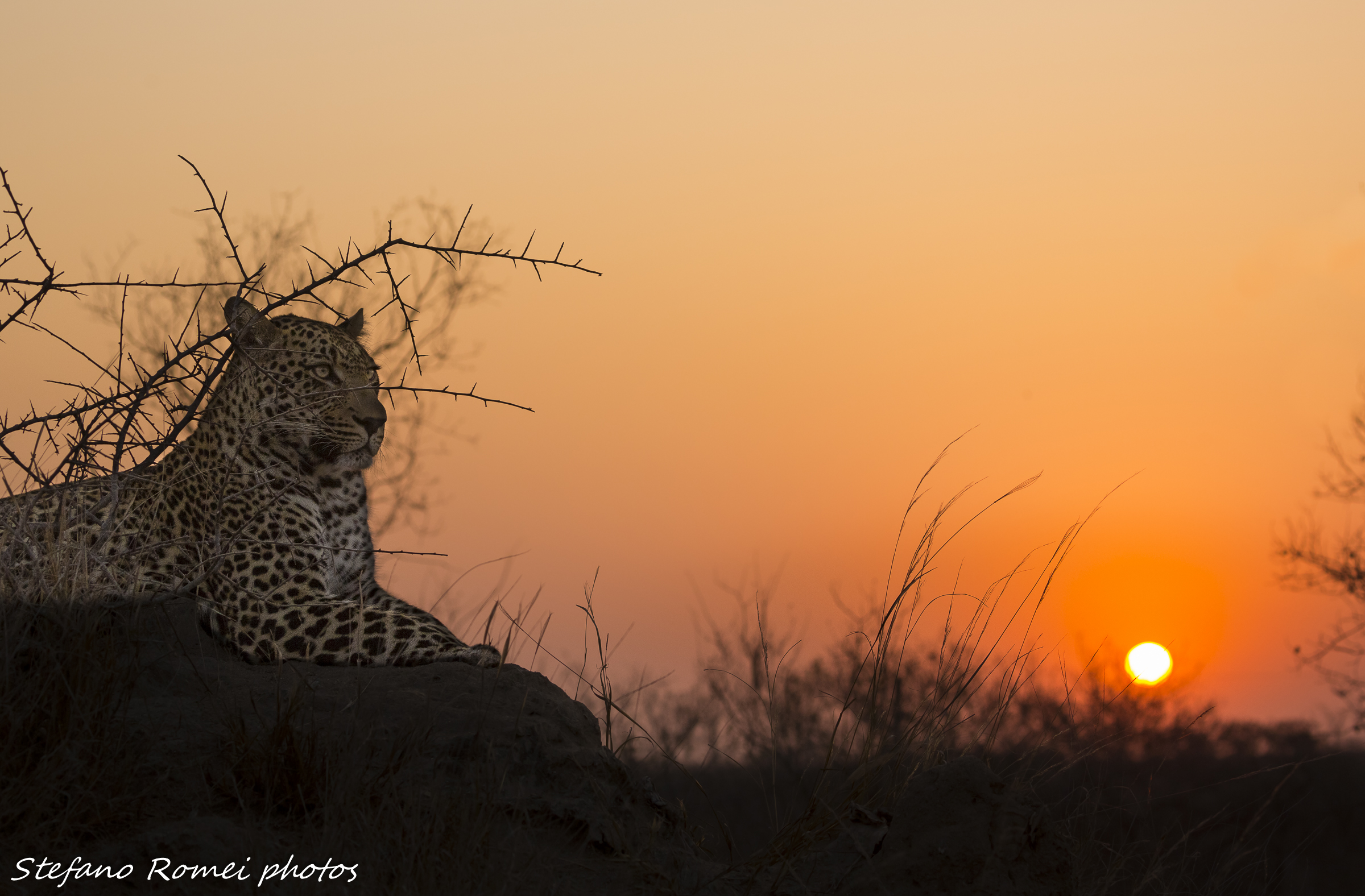 sunset with quarantine