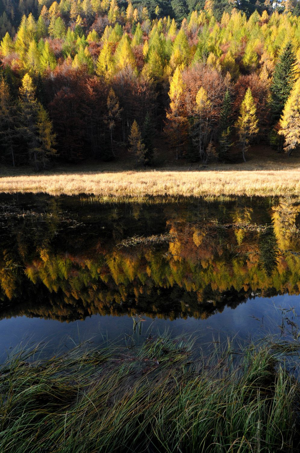 Autunno nelle Alpi Giulie