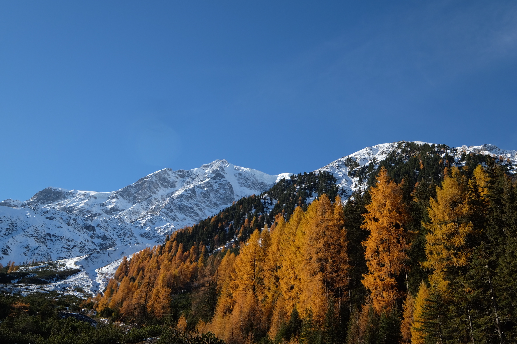 Autumn colors -Ortles