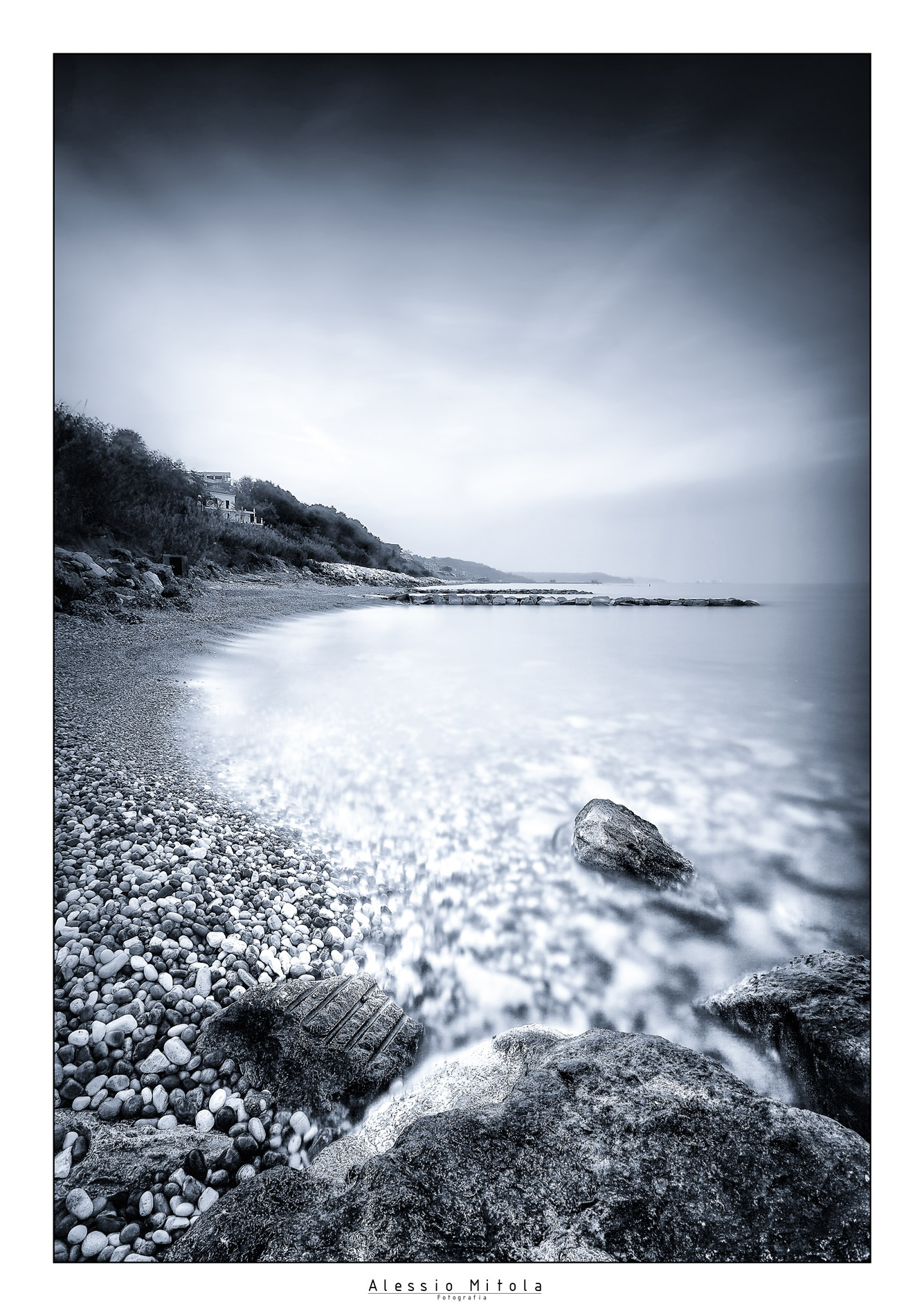 Il pettine di San Vito BN