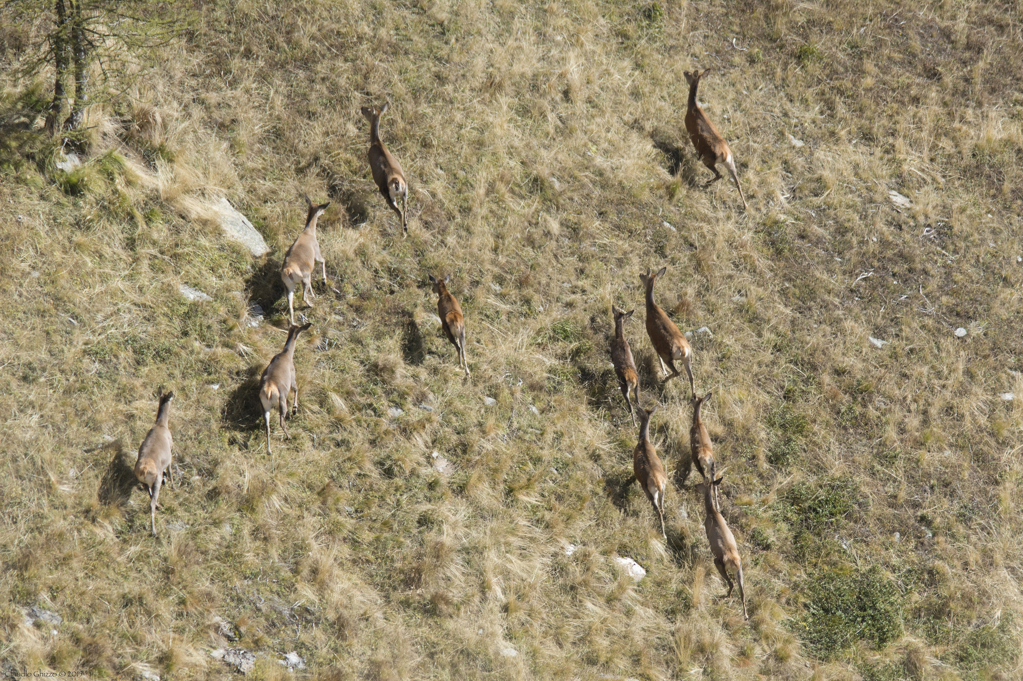 Dall'alto vi osservo e mi meraviglio