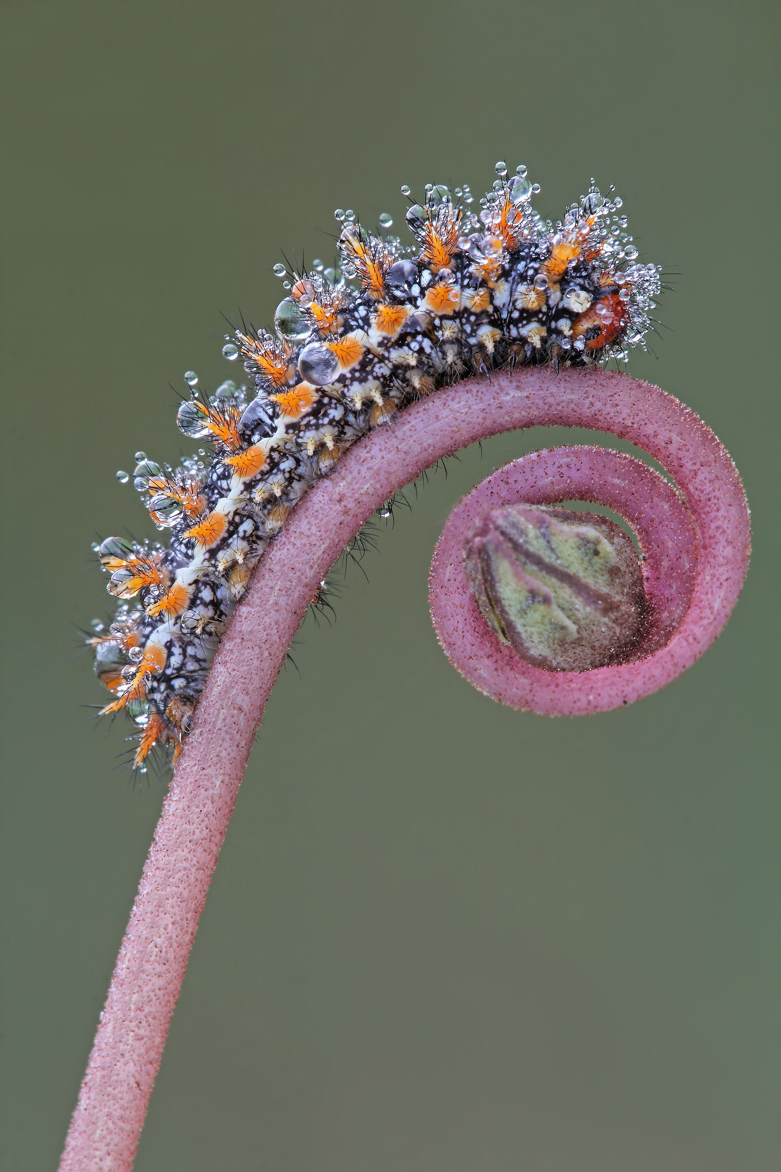 ....Dangerous bend !!!