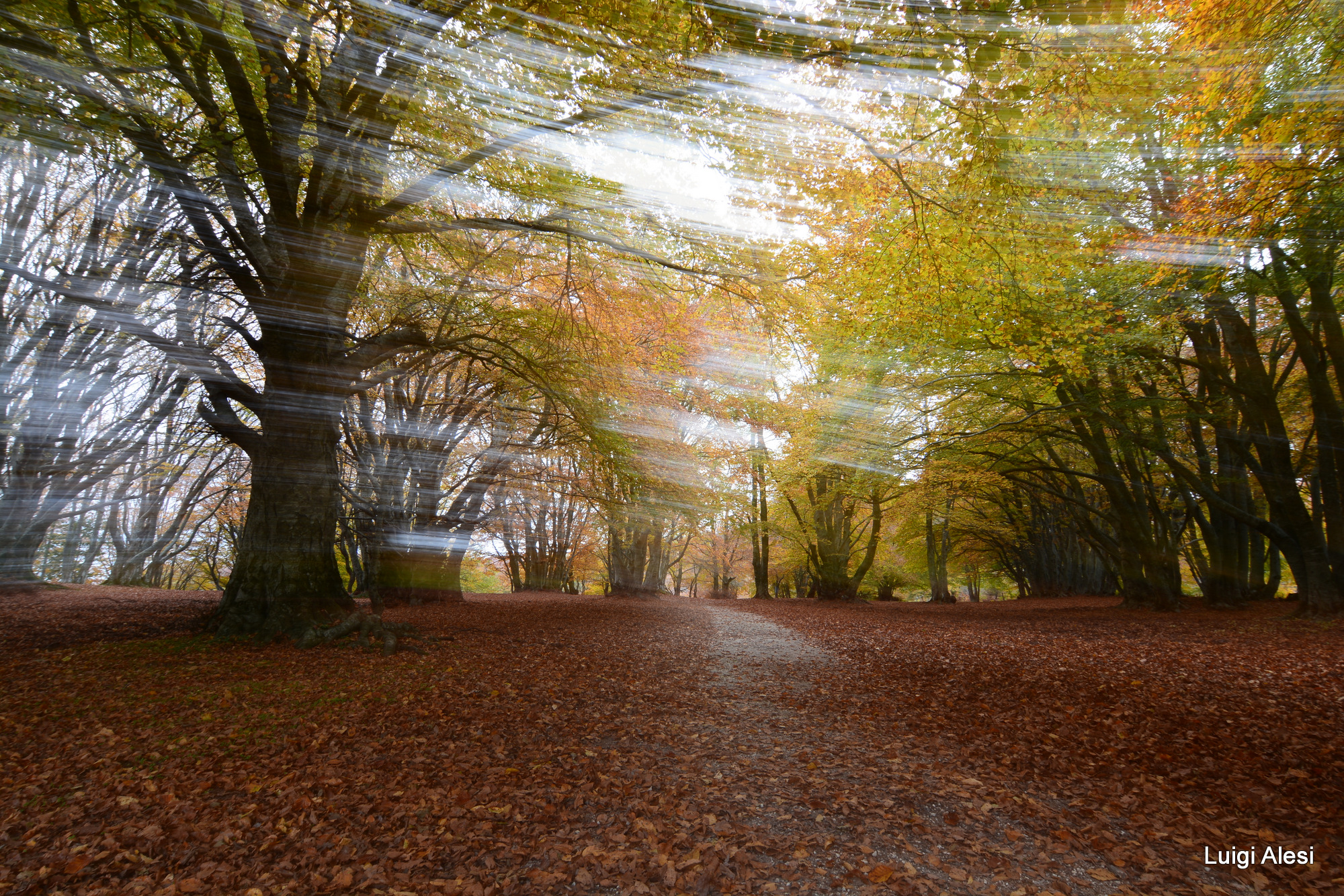 l'autunno a Canfaito