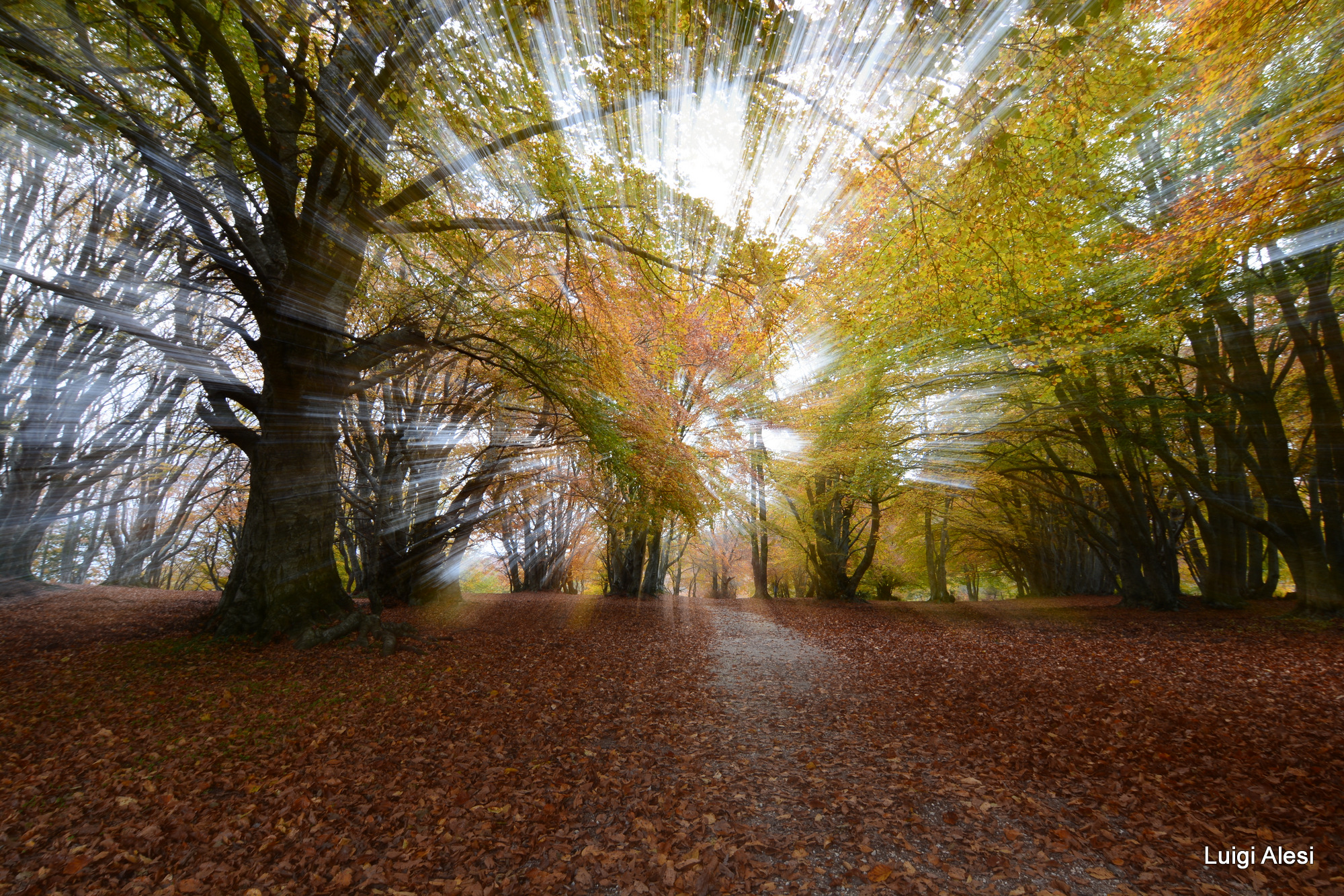 l'autunno a Canfaito  - effetti speciali - no P.P