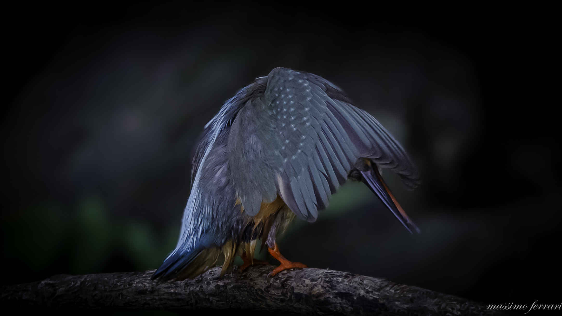 Giochiamo a Nascondino