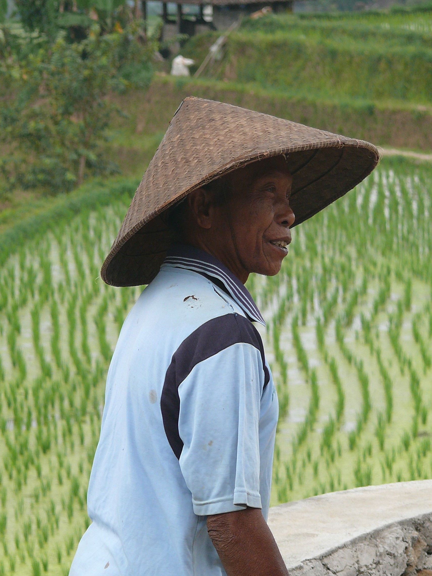 portraits of the East