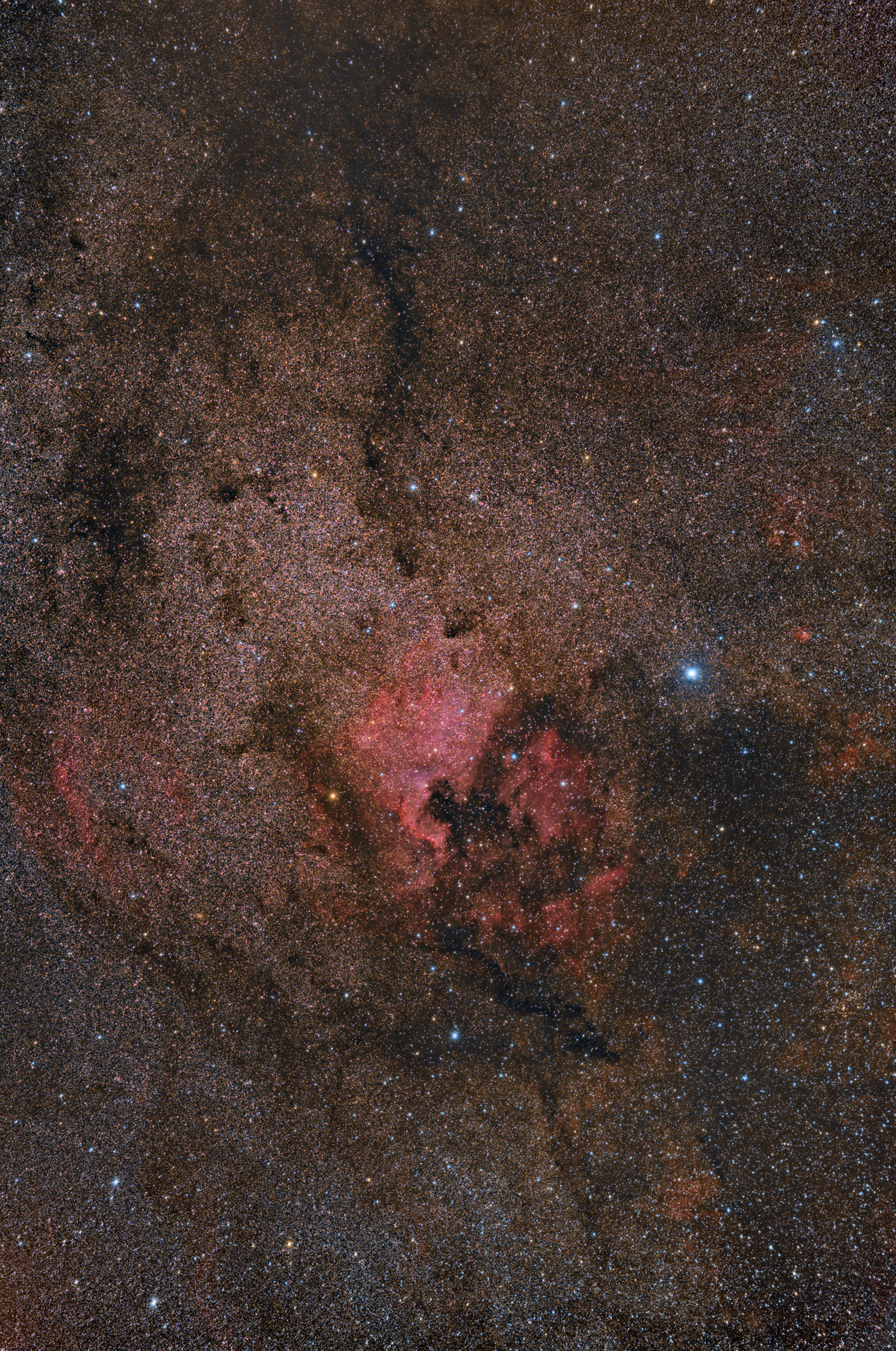 Complesso Nebulare nel Cigno.