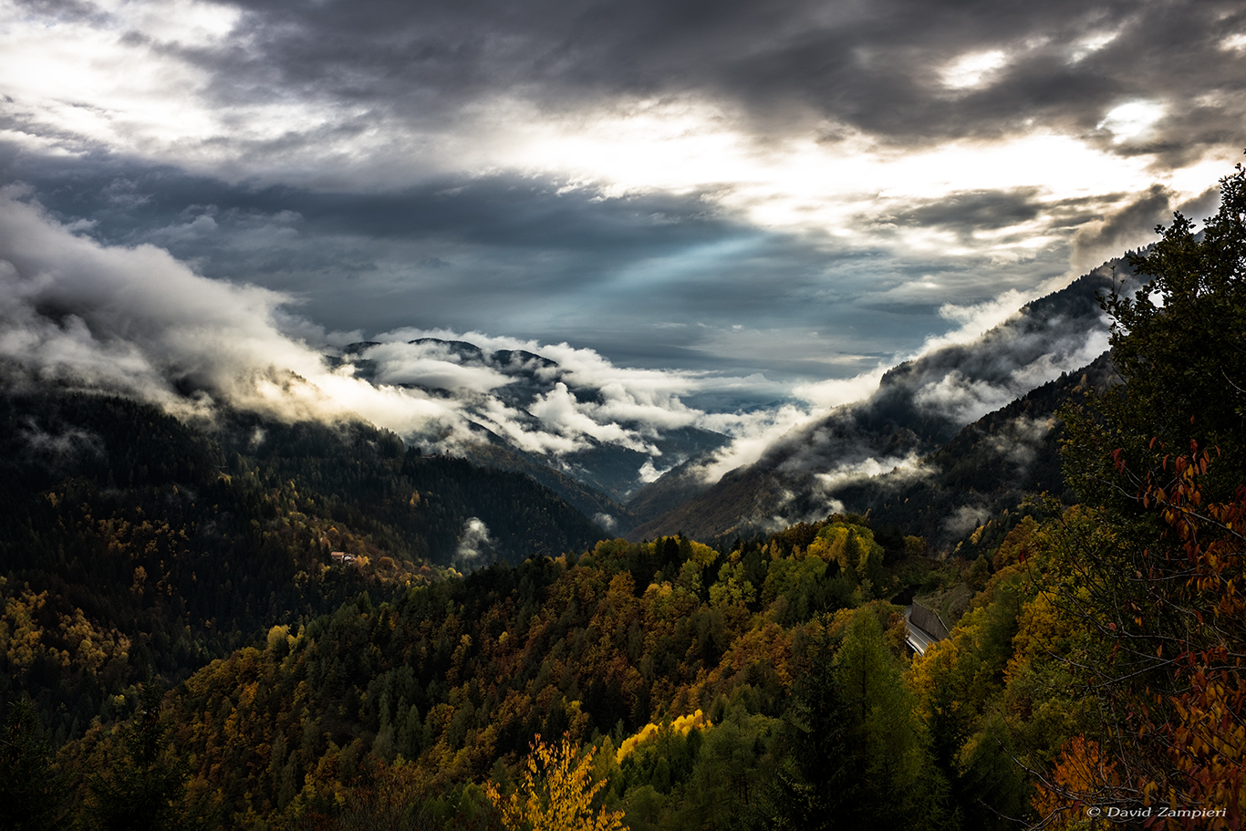 timid rays of sunshine