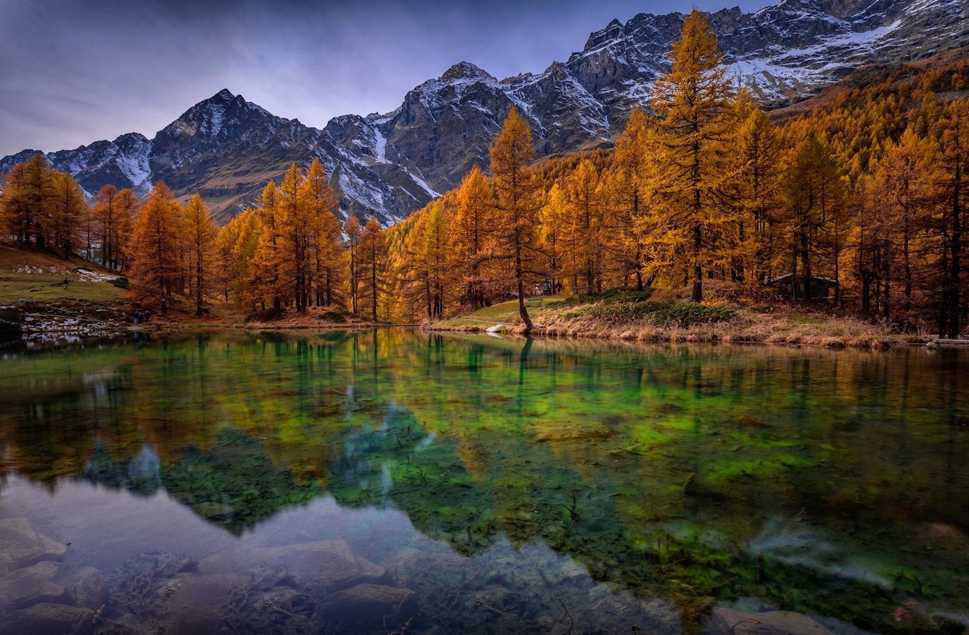 contrasti e colori d'autunno