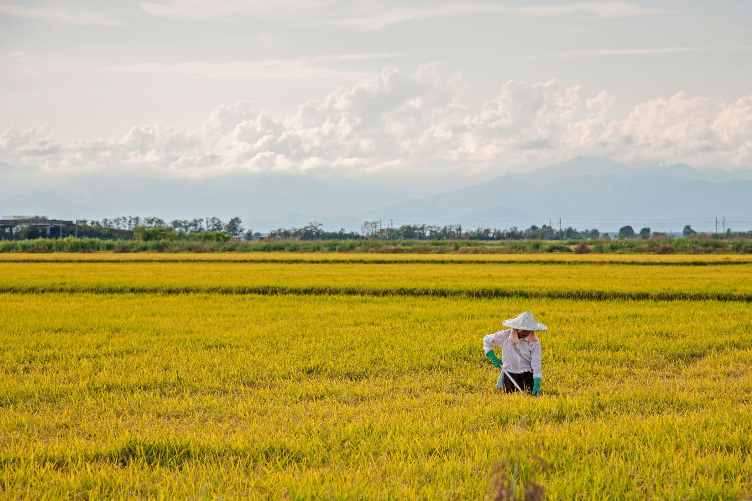 Lomellina che cambia